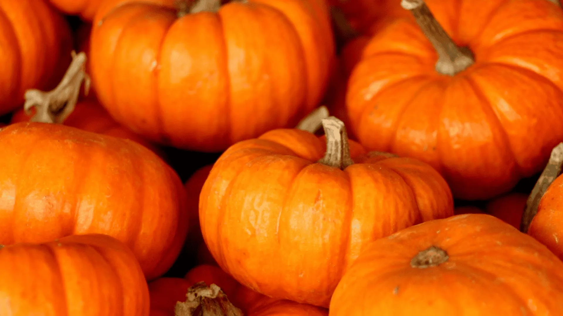 Te osoby nie powinny jeść dyni. Może poważnie zaszkodzić