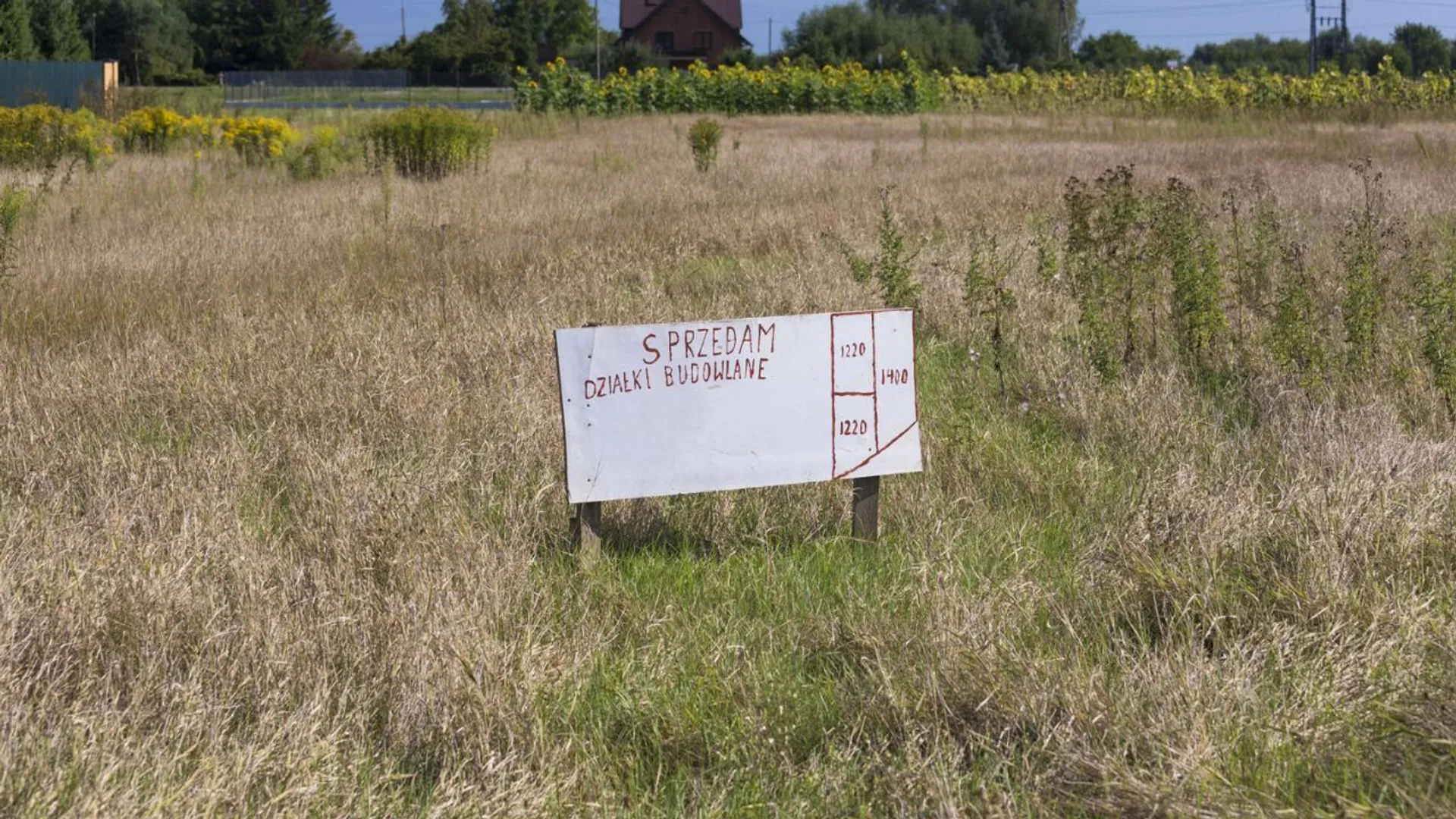 działka