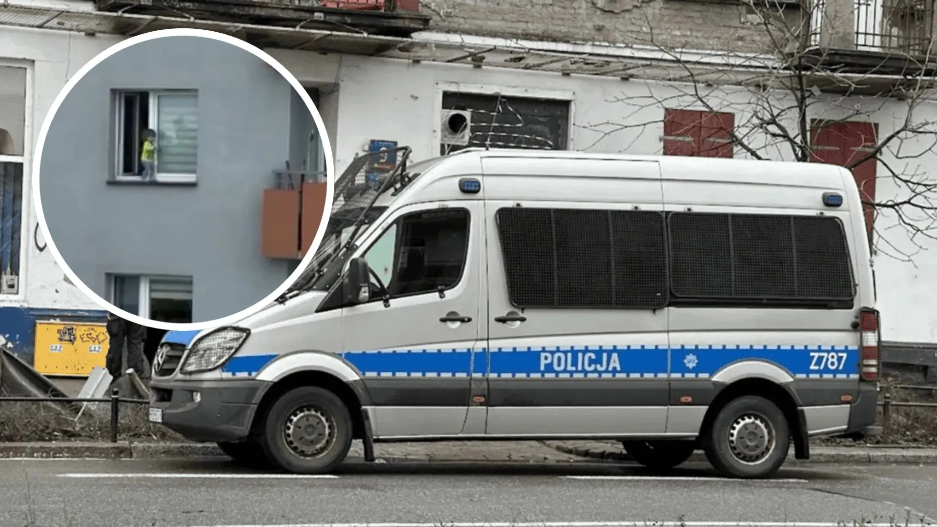 policja