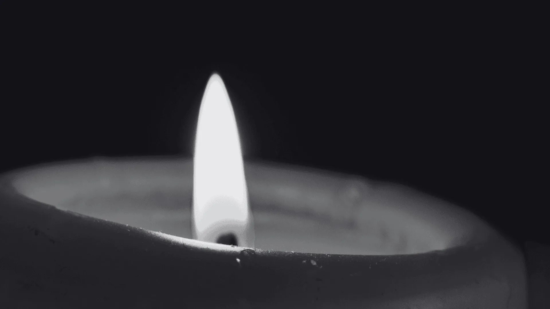 dziennikarka, śmierć