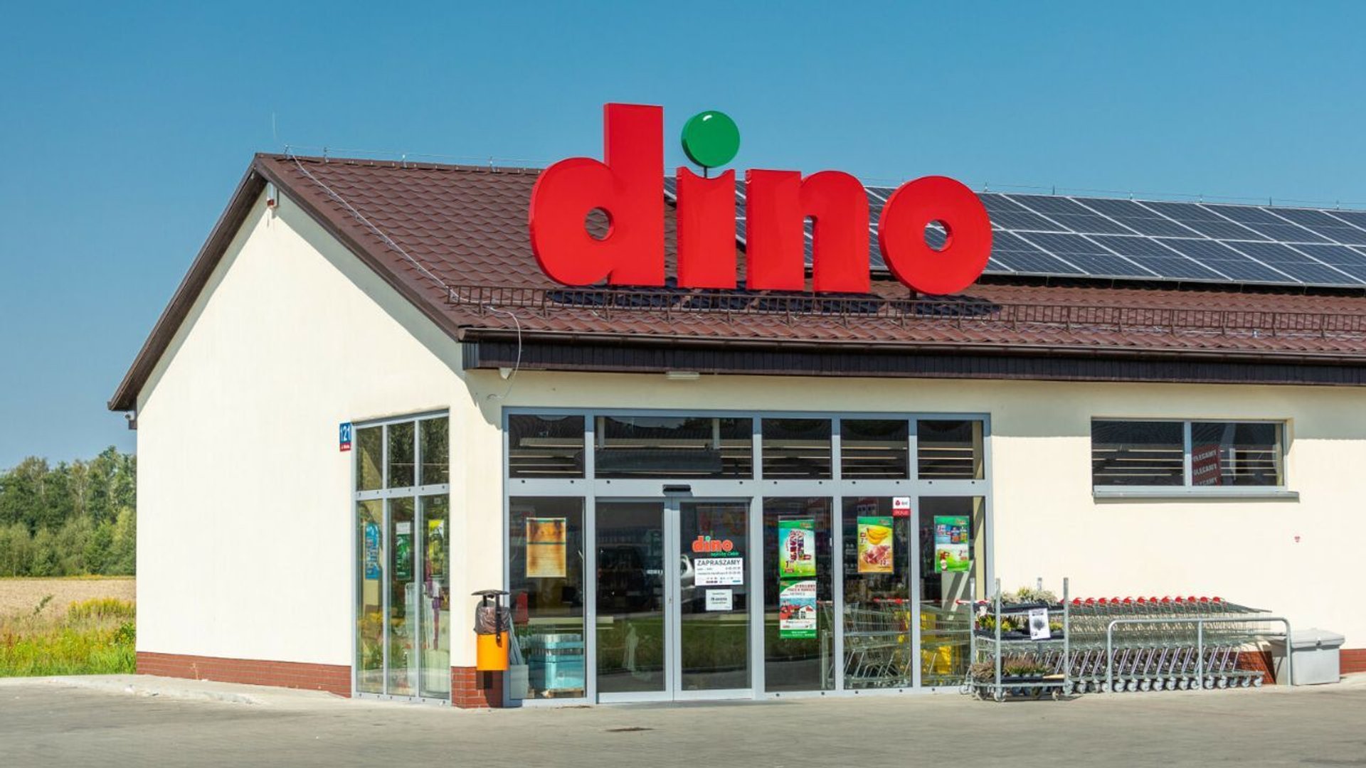 Dino