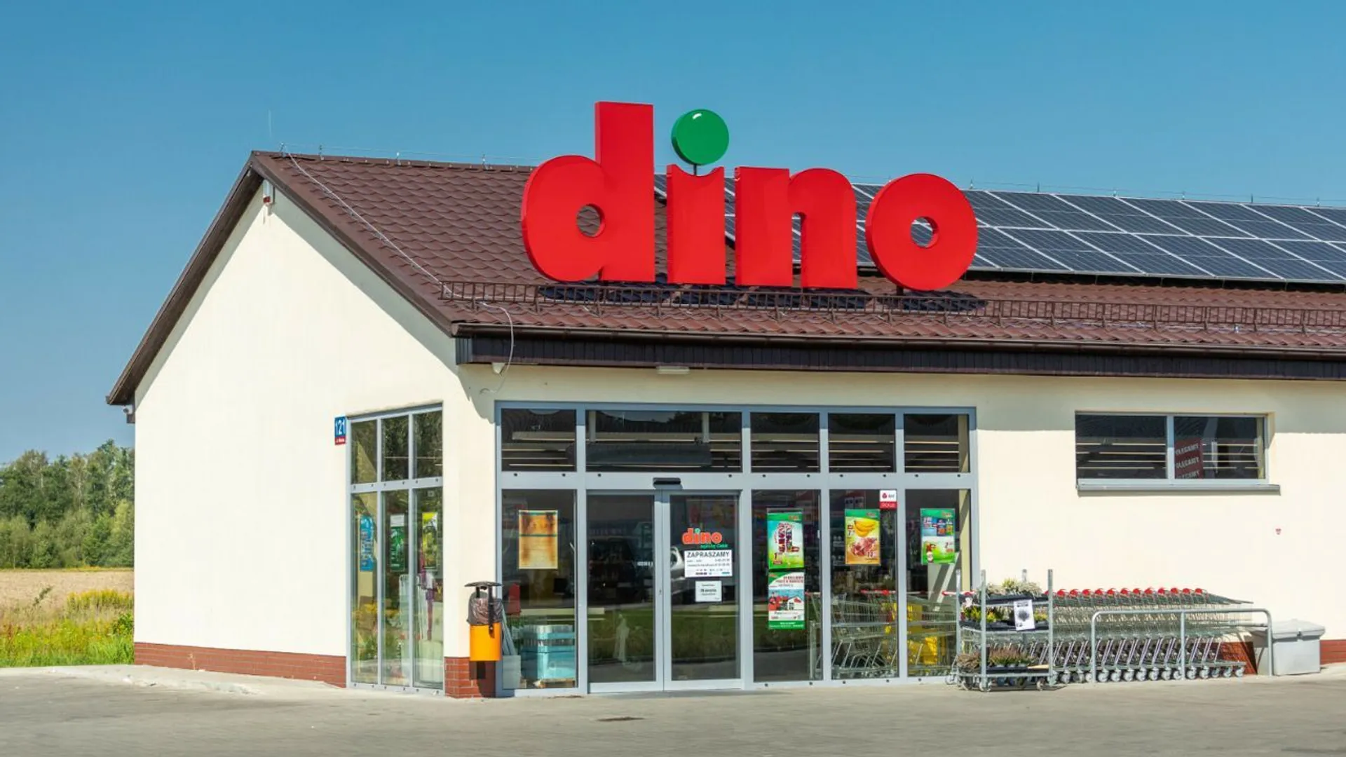 Dino