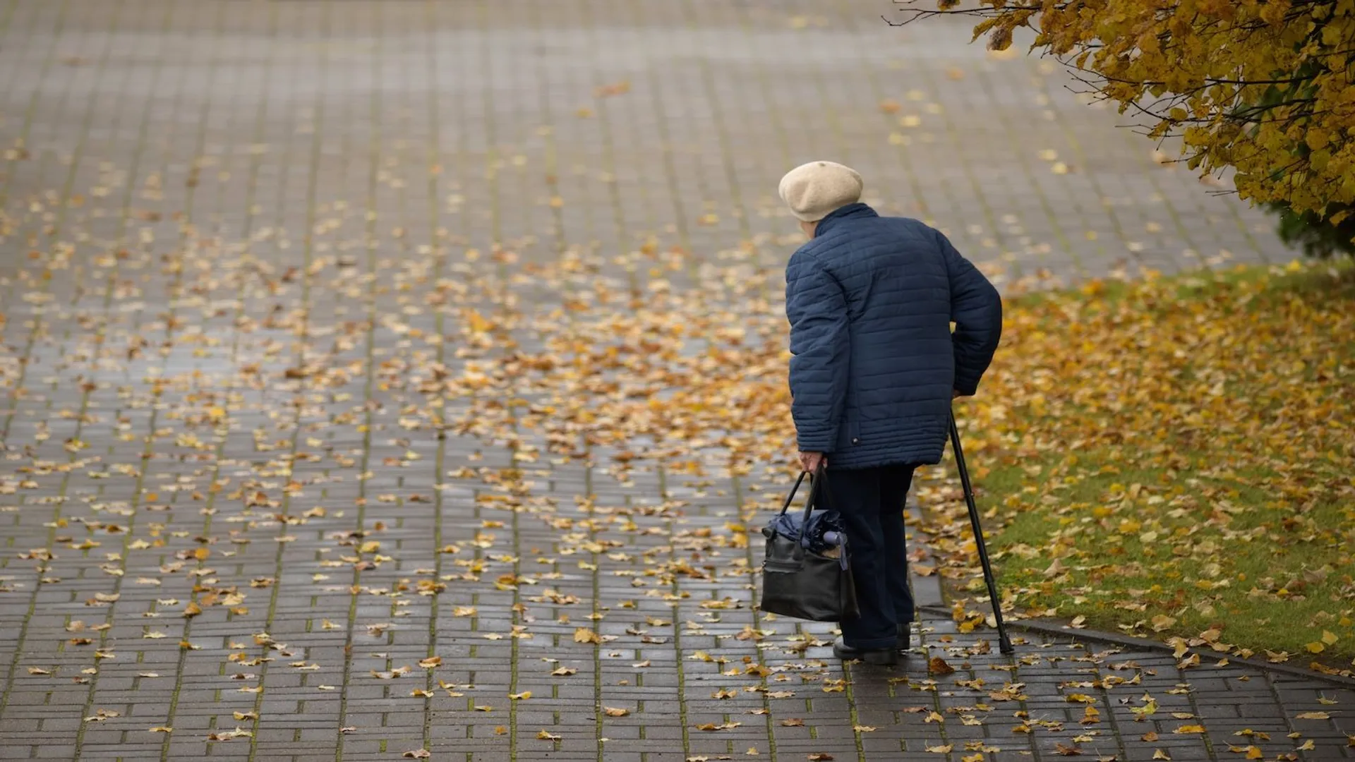 Wpływ wzrostu płacy minimalnej na sytuację pracujących emerytów w Polsce