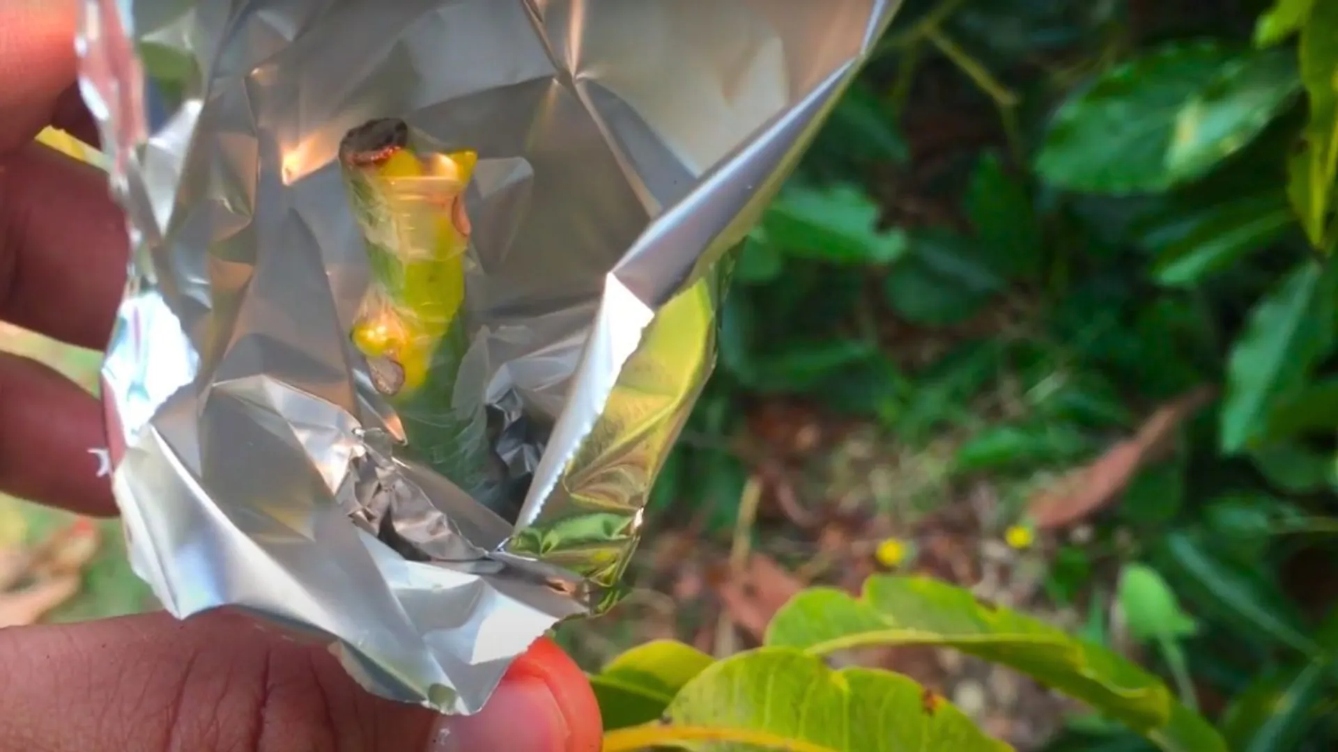 Jak wykorzystać folię aluminiową w ogrodzie?