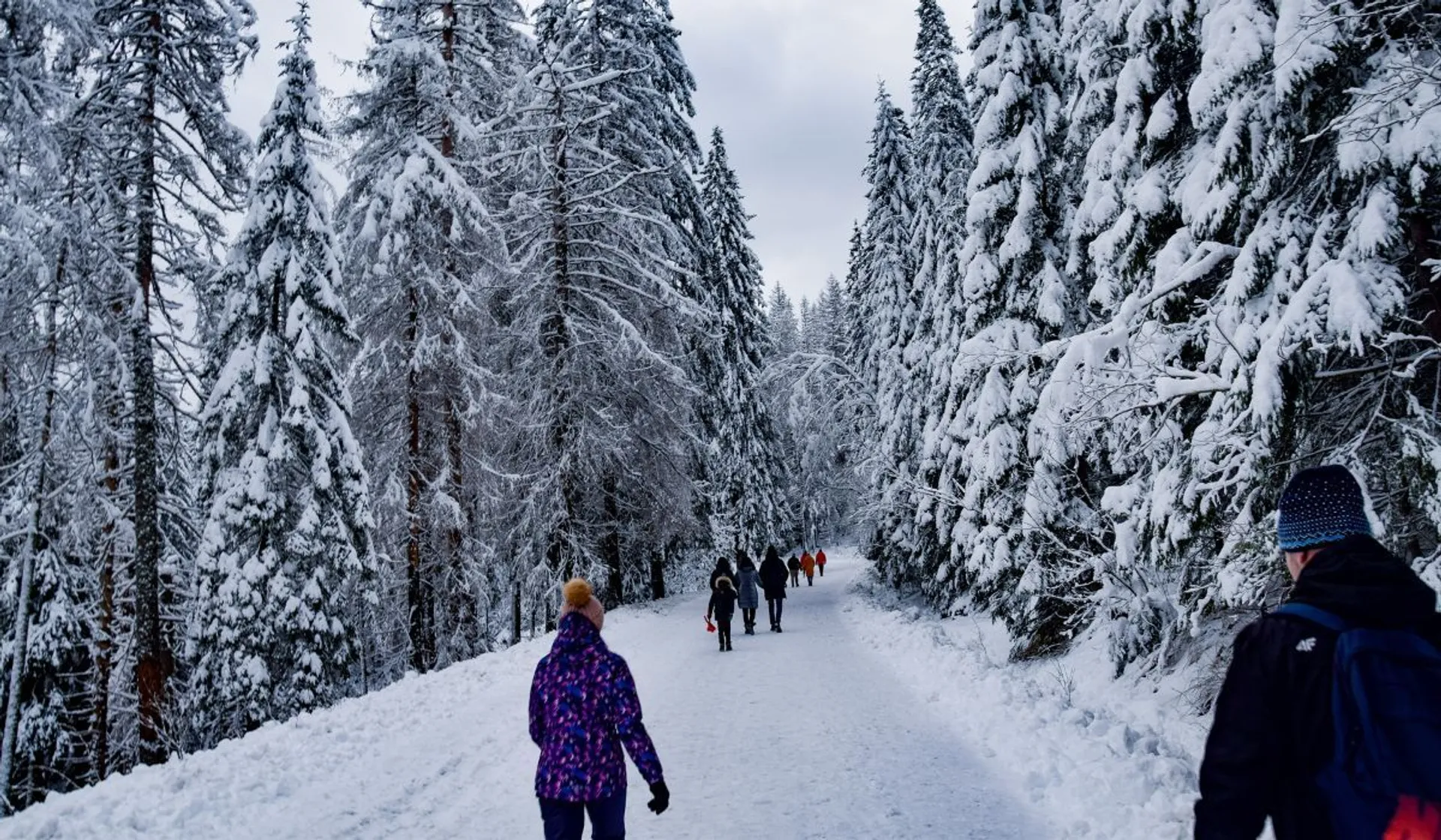 Trasa na Morskie Oko