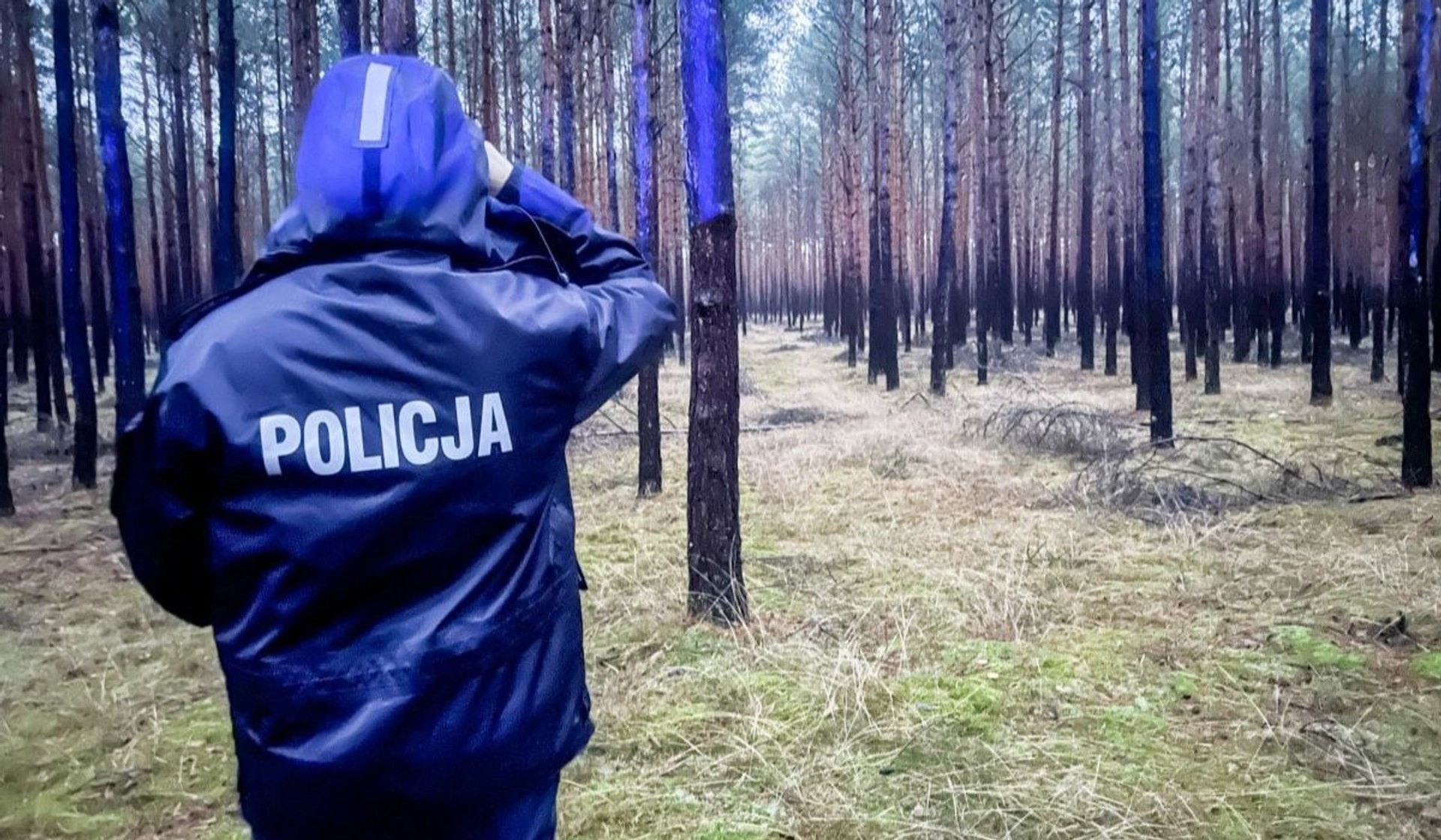 Policja w lesie