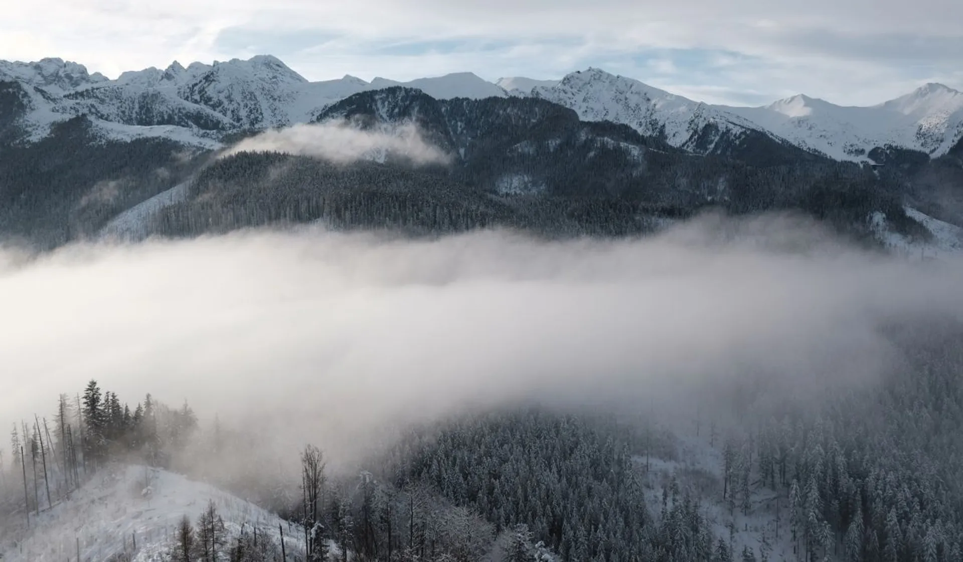  Nosal Tatry