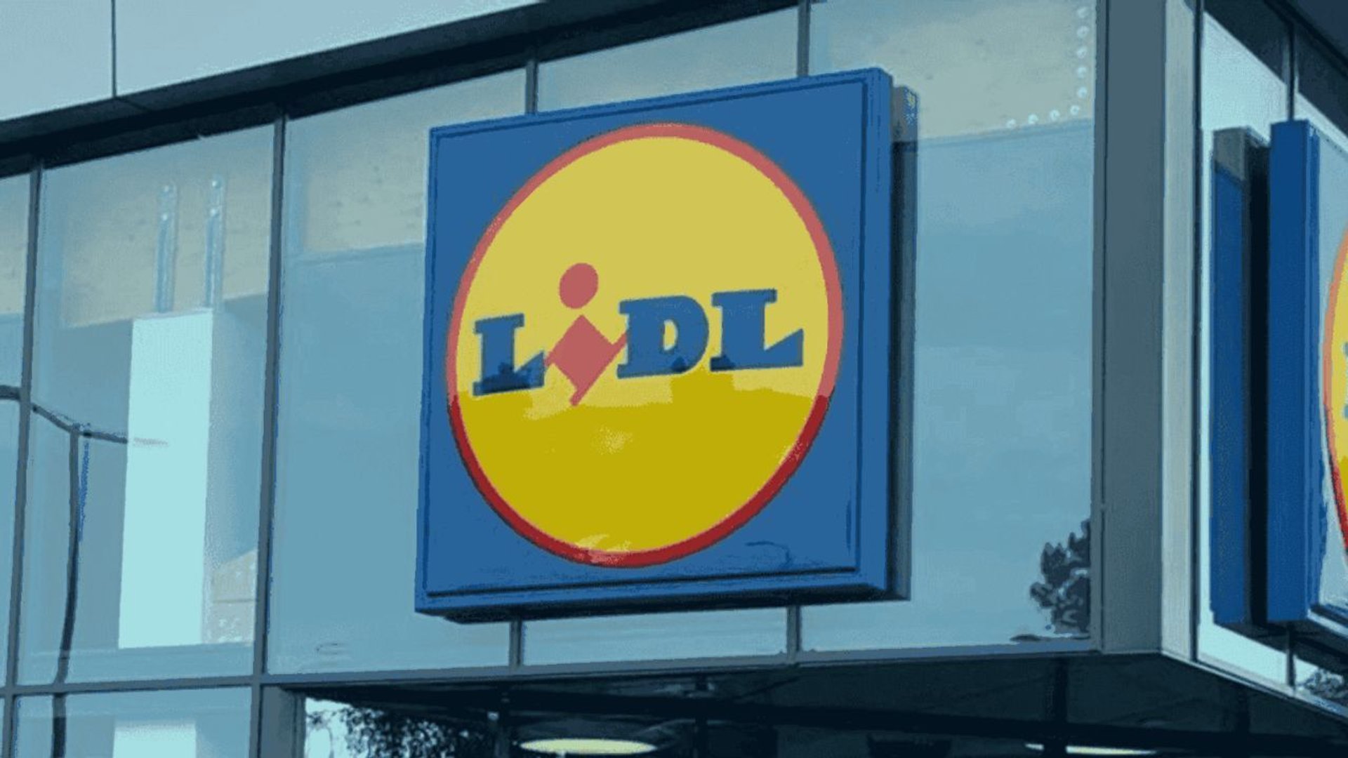 lidl, zakupy