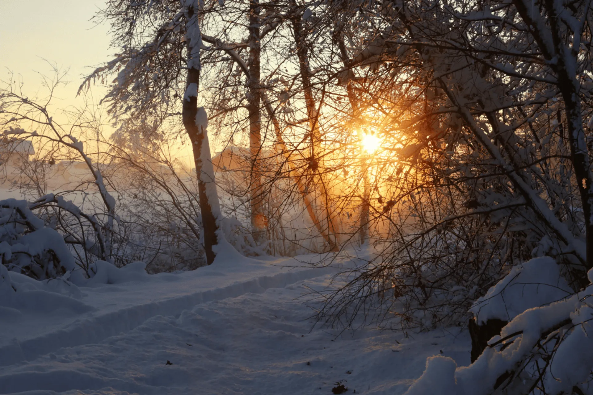 Prognoza pogody na zimę 2025/2026: Analiza modelu CFS i przewidywanych anomalii