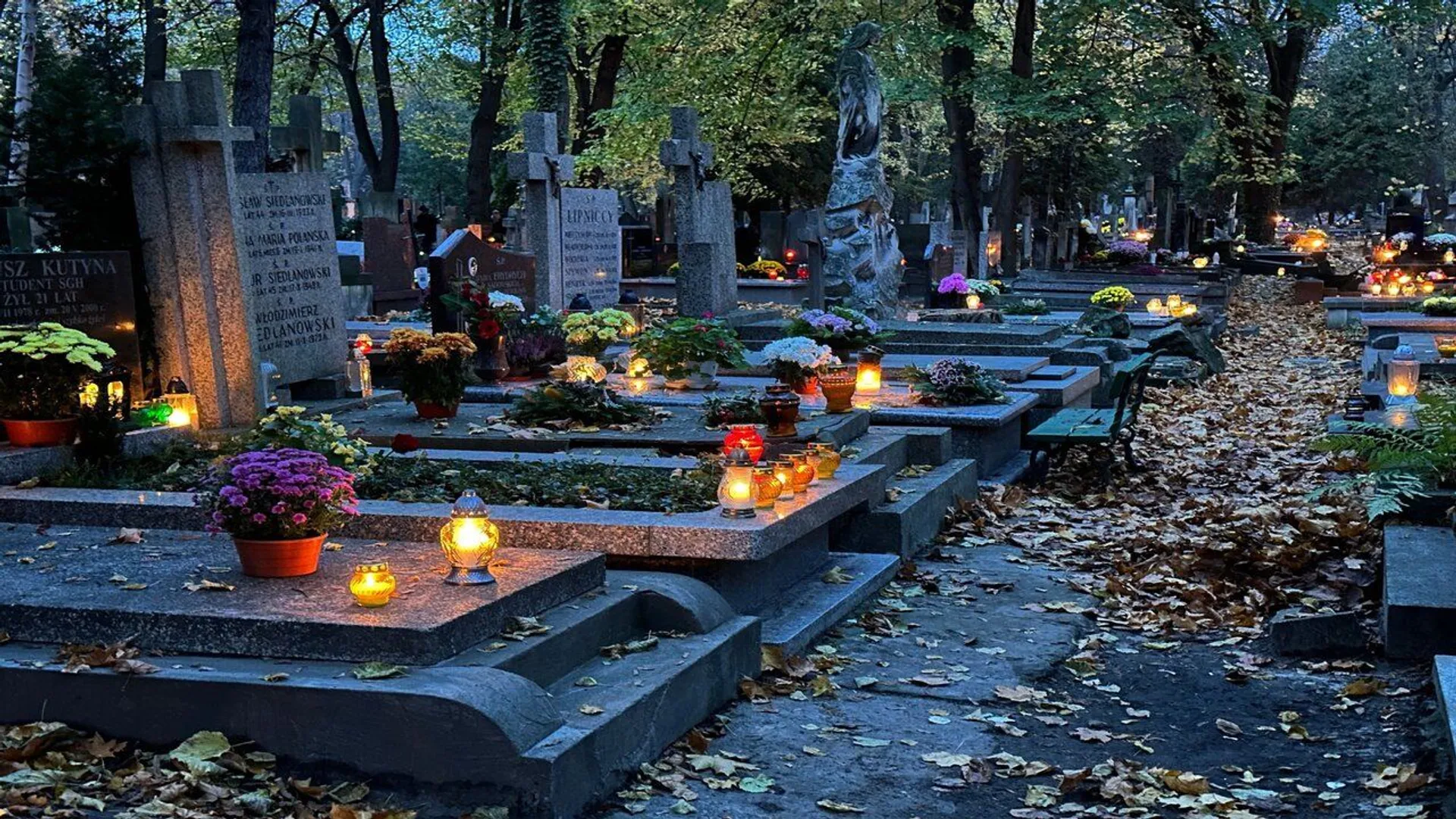cmentarz, grób