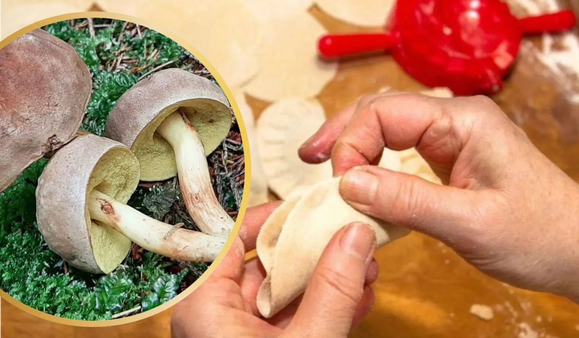 grzyby i pierogi 