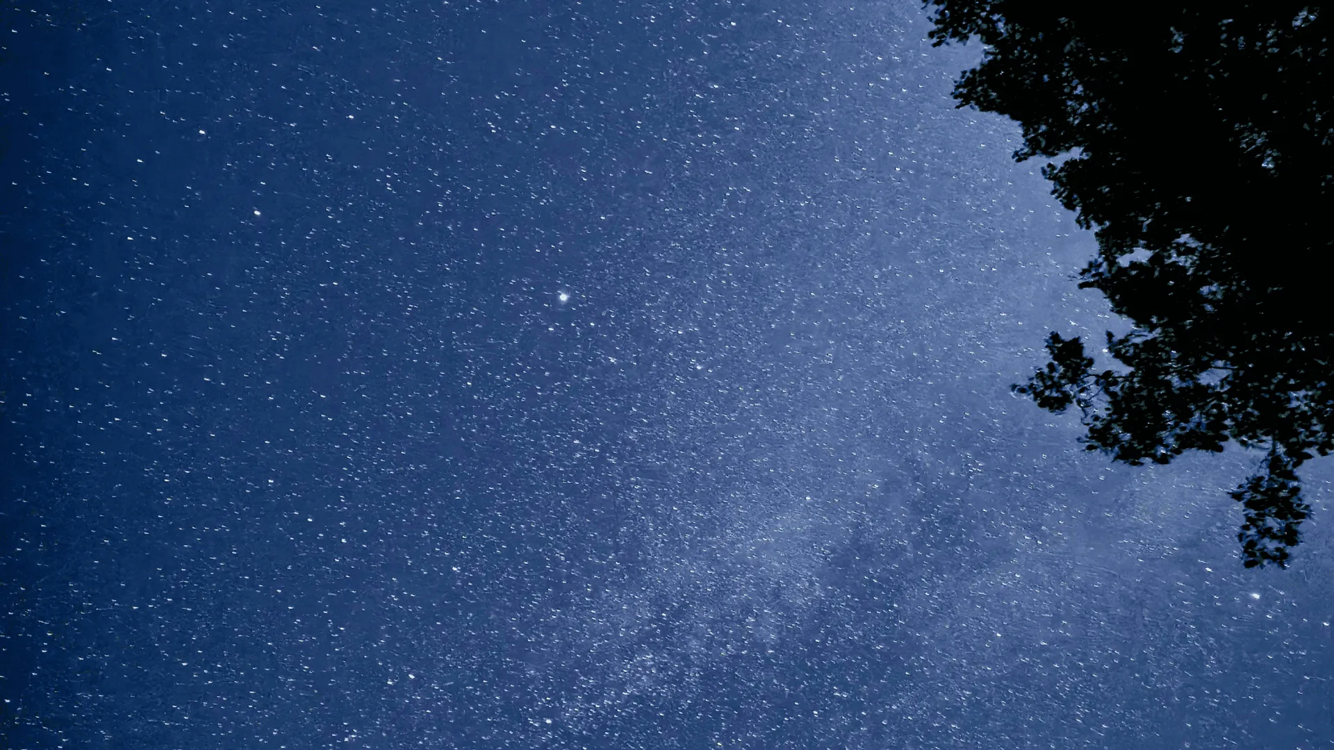 Nocne niebo pełne gwiazd z widoczną smugą Drogi Mlecznej i zarysami gałęzi po prawej stronie.