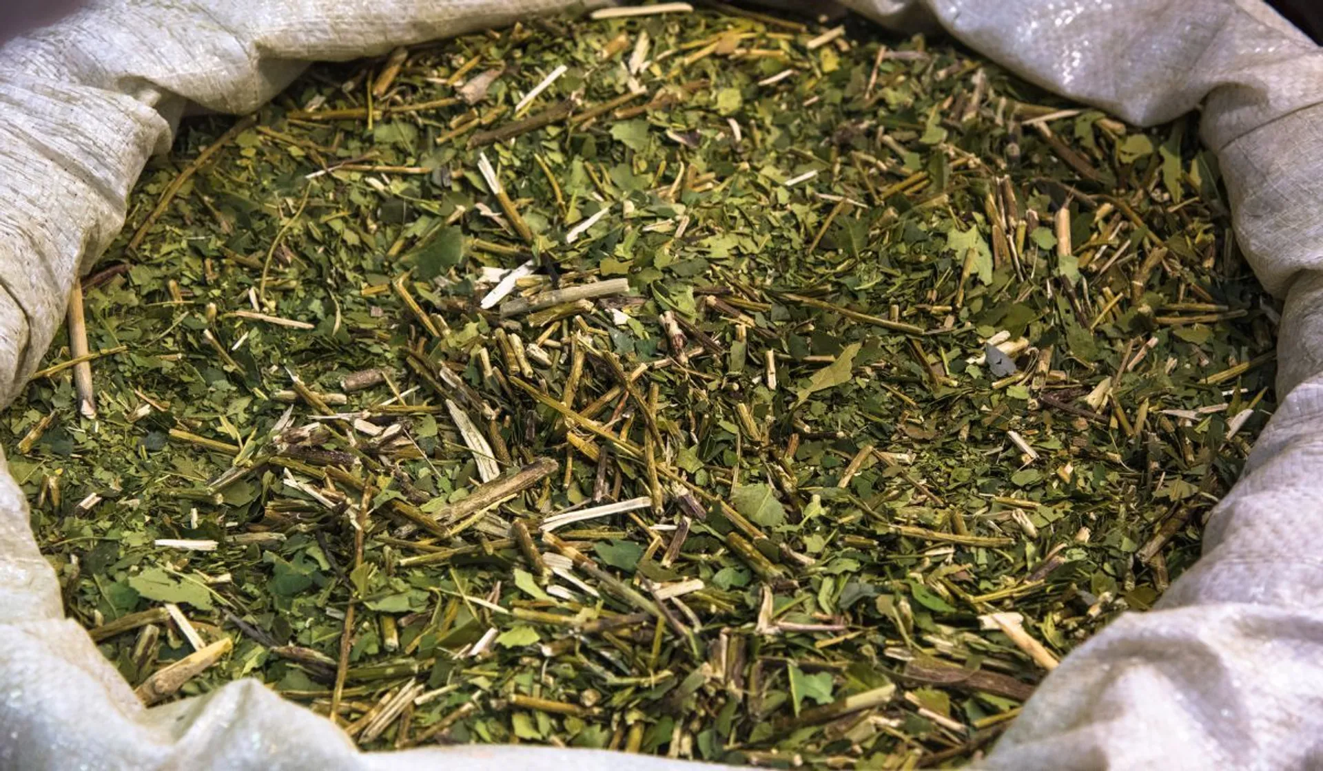 herbata