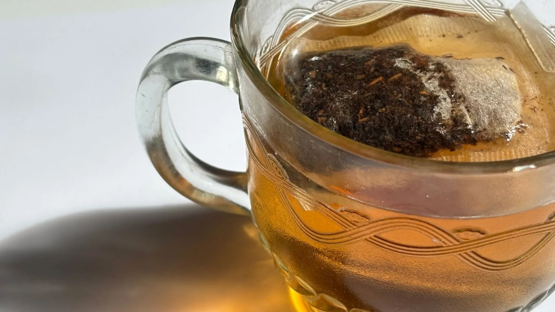 Salmonella w herbacie