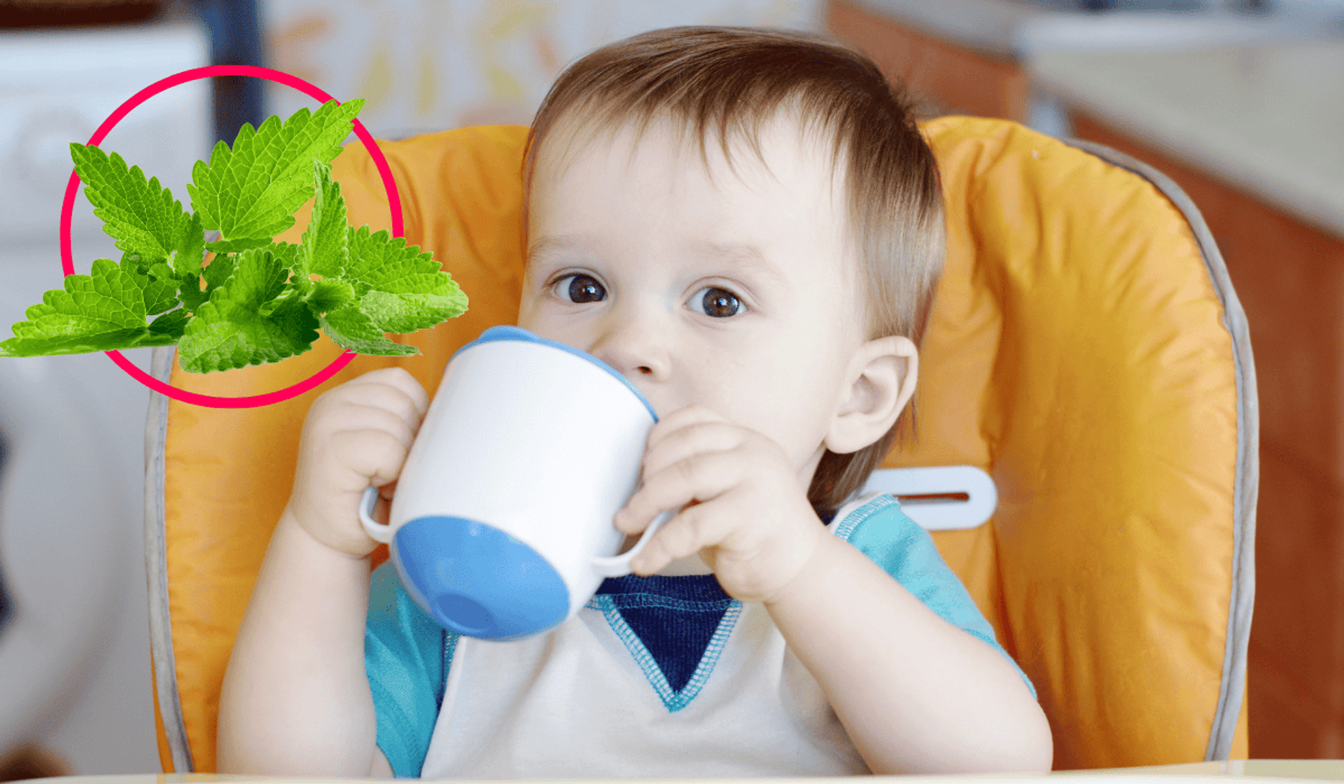 Herbata miętowa dla dziecka