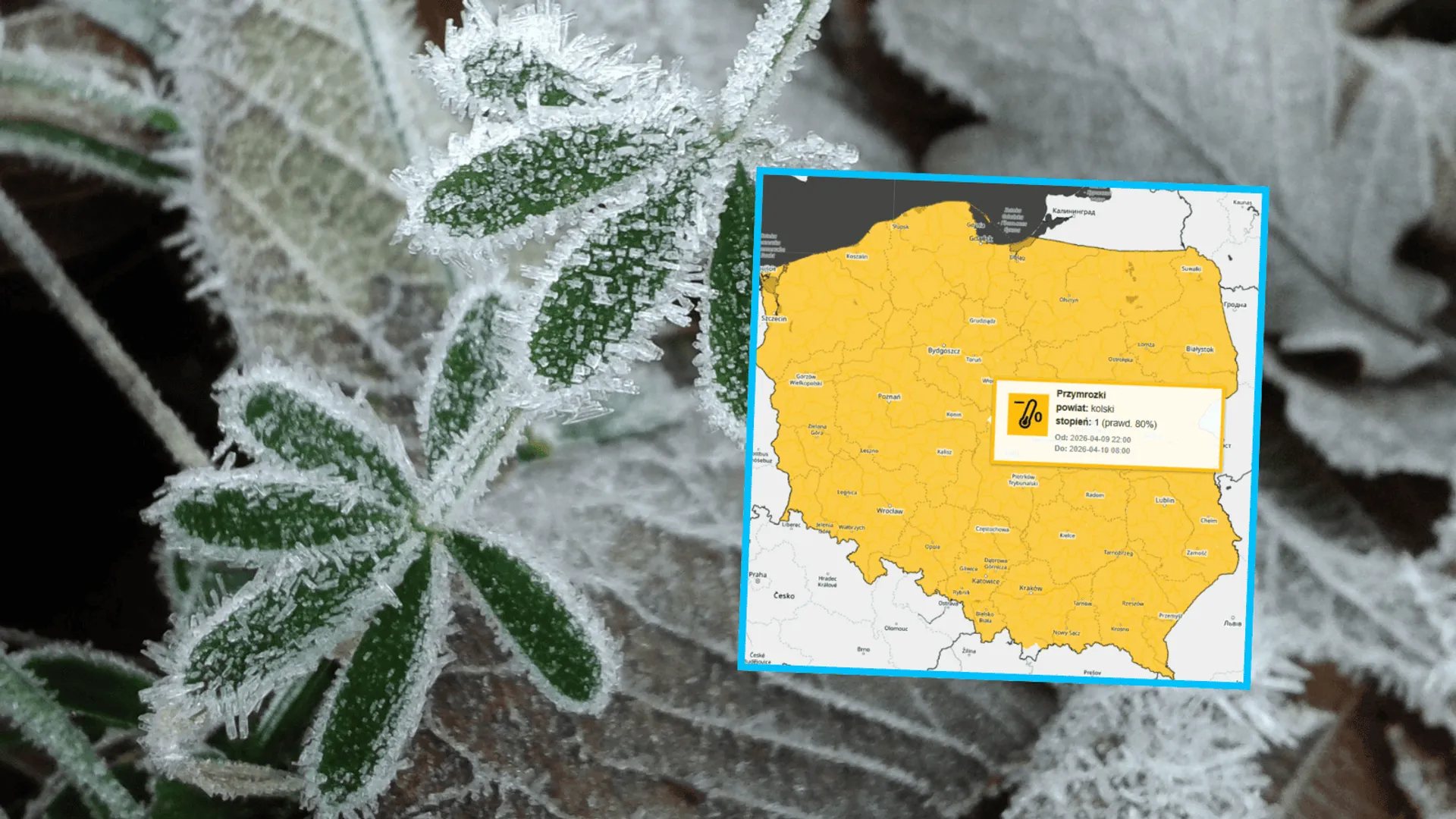 IMGW, fot. IMGW/X, Canva