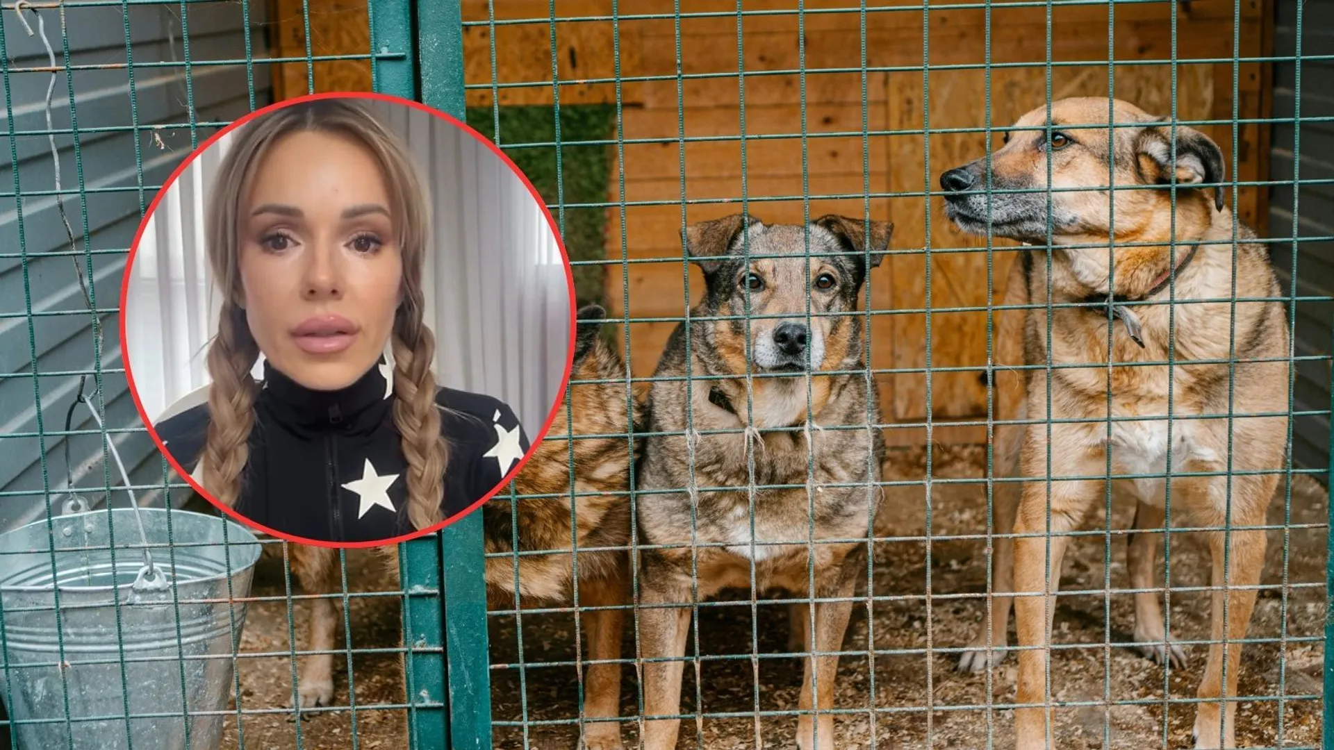 Dramatyczne nagranie Dody. Artystka przyznaje: „Nie daję już rady”