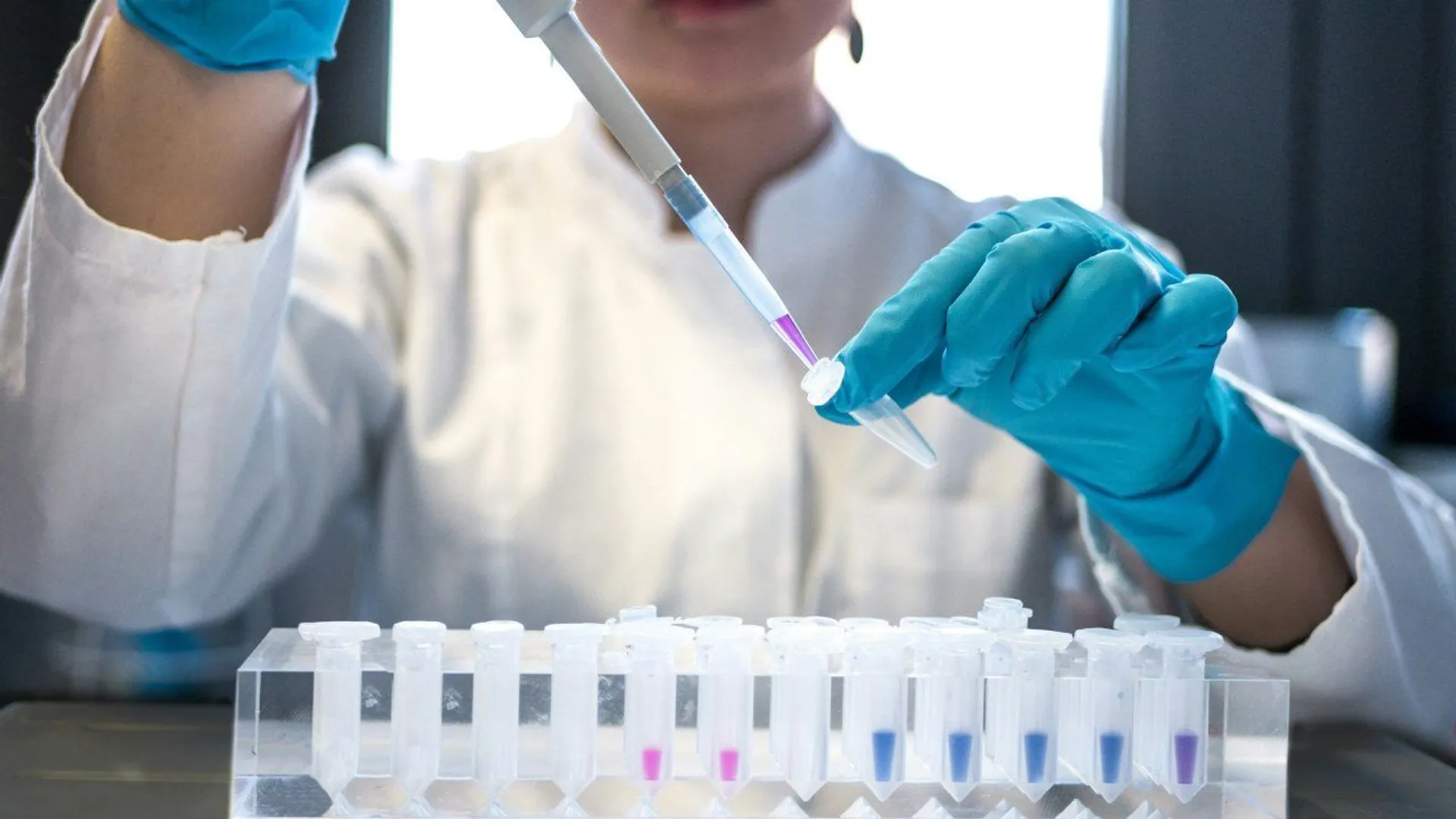 lab