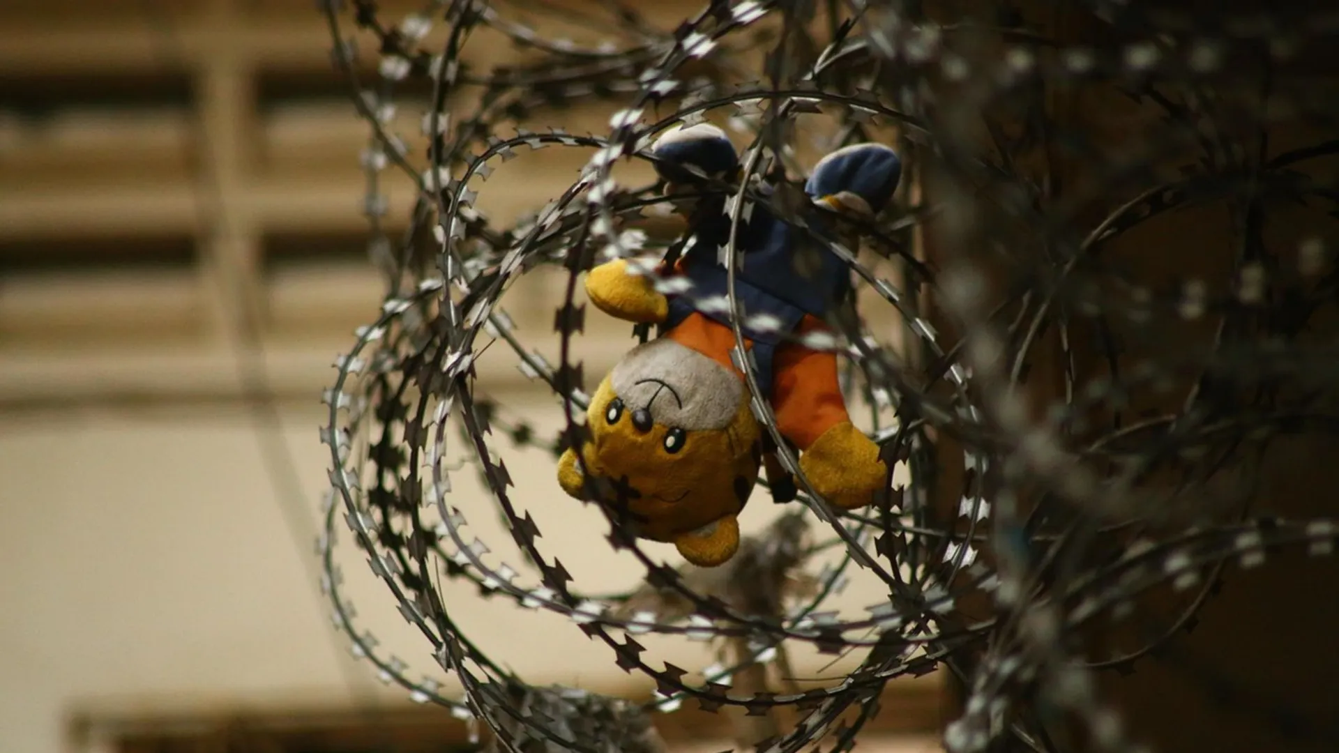 Katarzyna W. więzienie