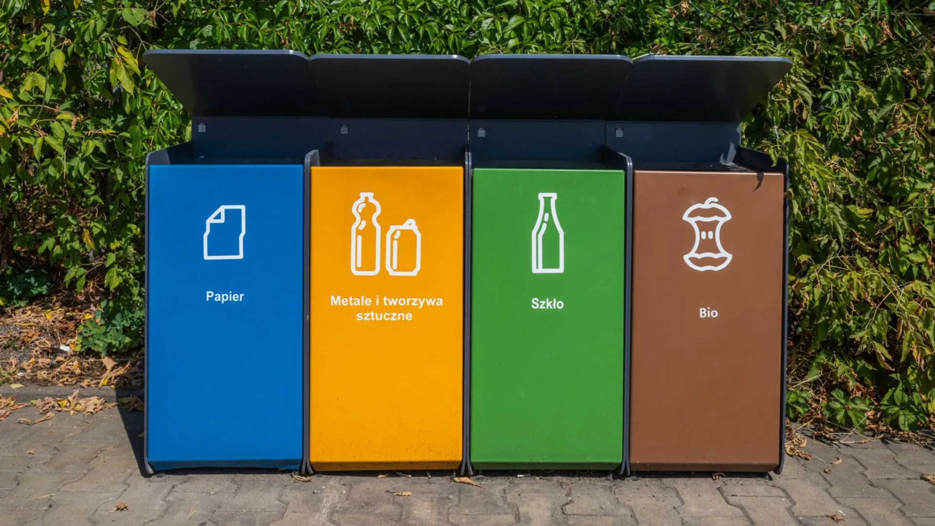 kosze na śmieci