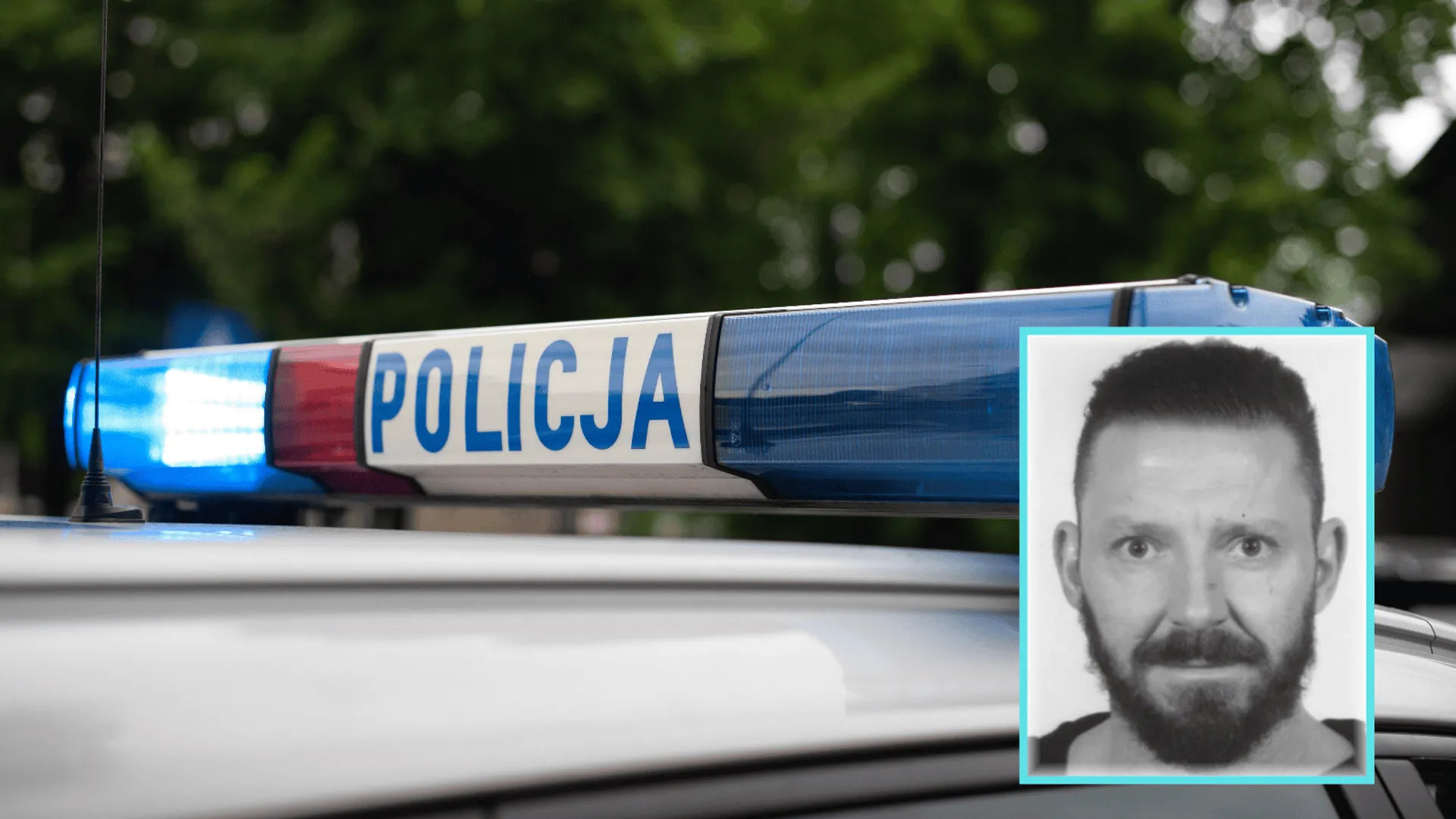 poszukiwany, policja, adwokat
