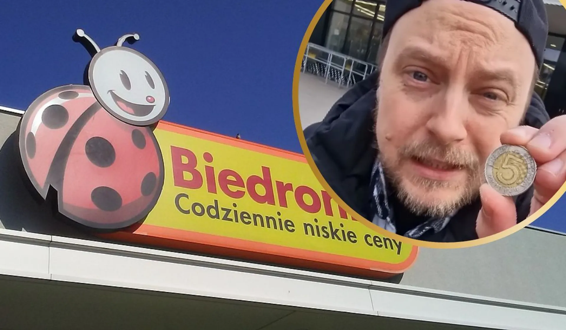 biedronka i mr Kryha