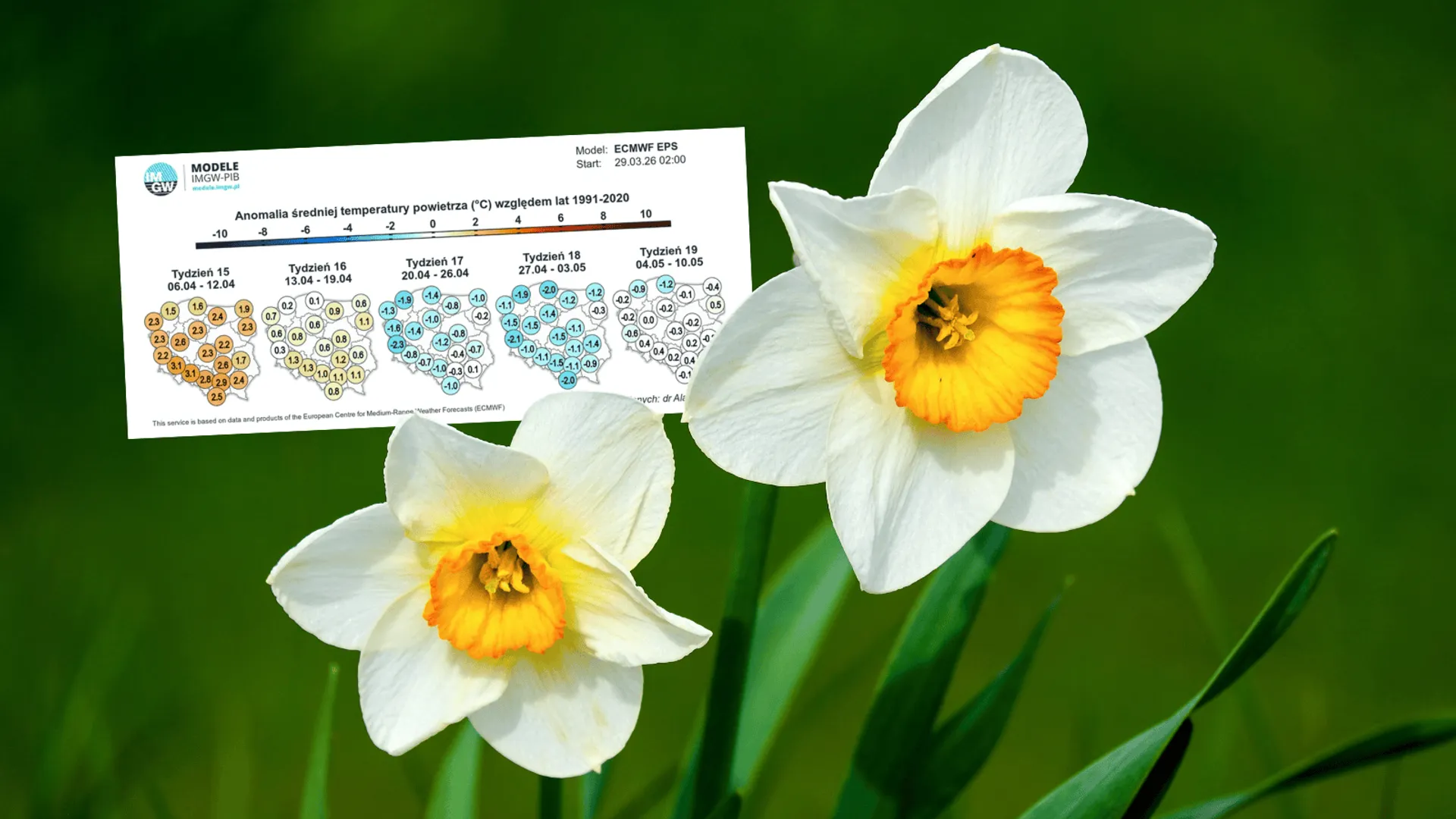 Pogoda, fot. Canva, IMGW