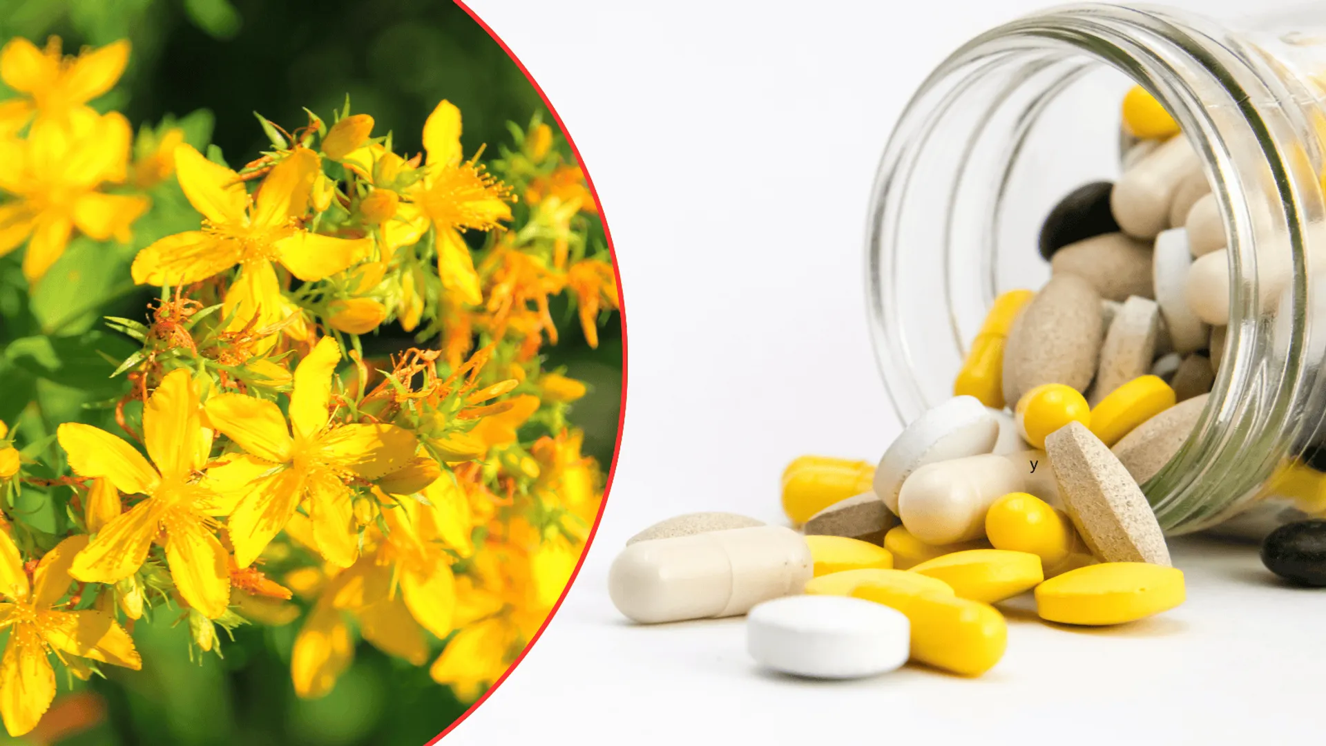 łączenie ziół i leków