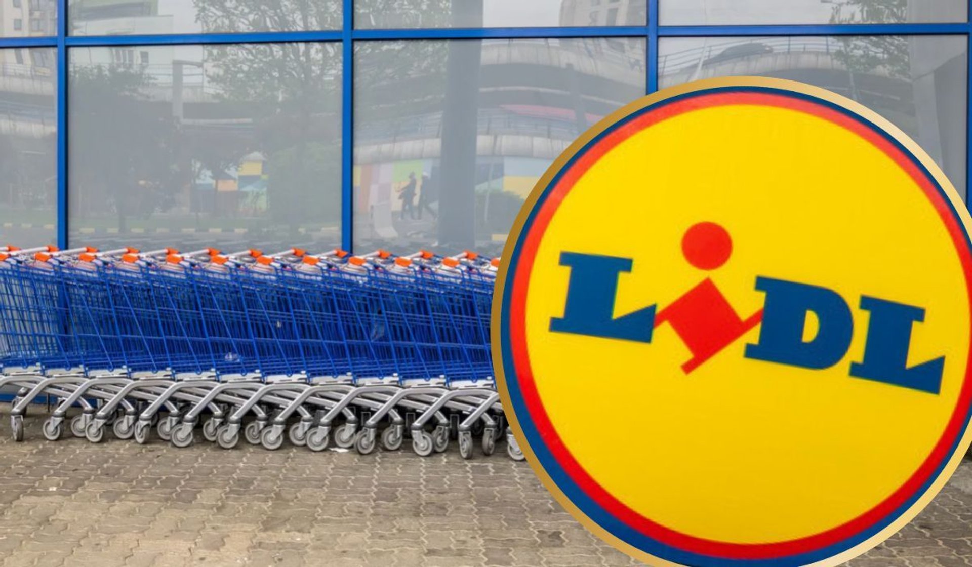 wózki sklepowe i logo sklepu Lidl