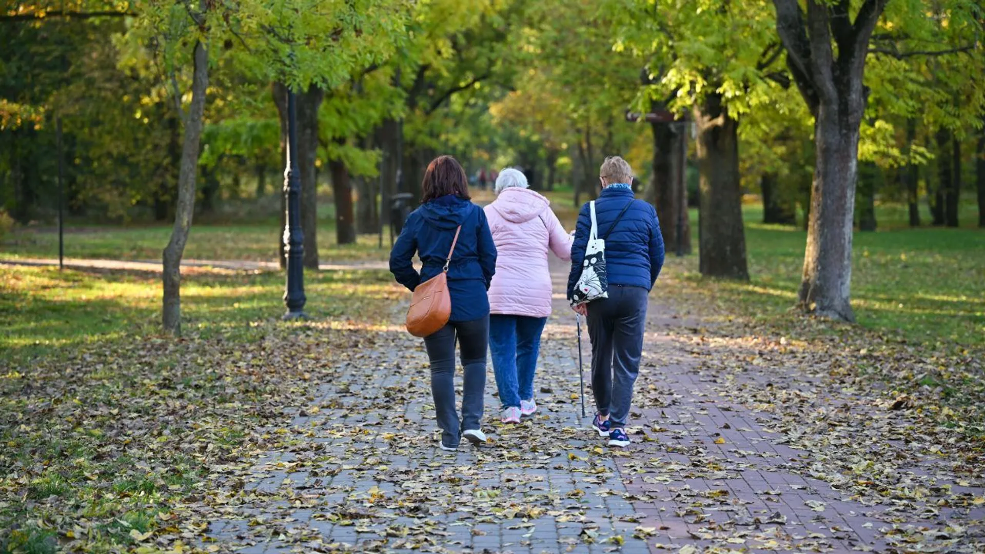 ludzie, park, sanatorium