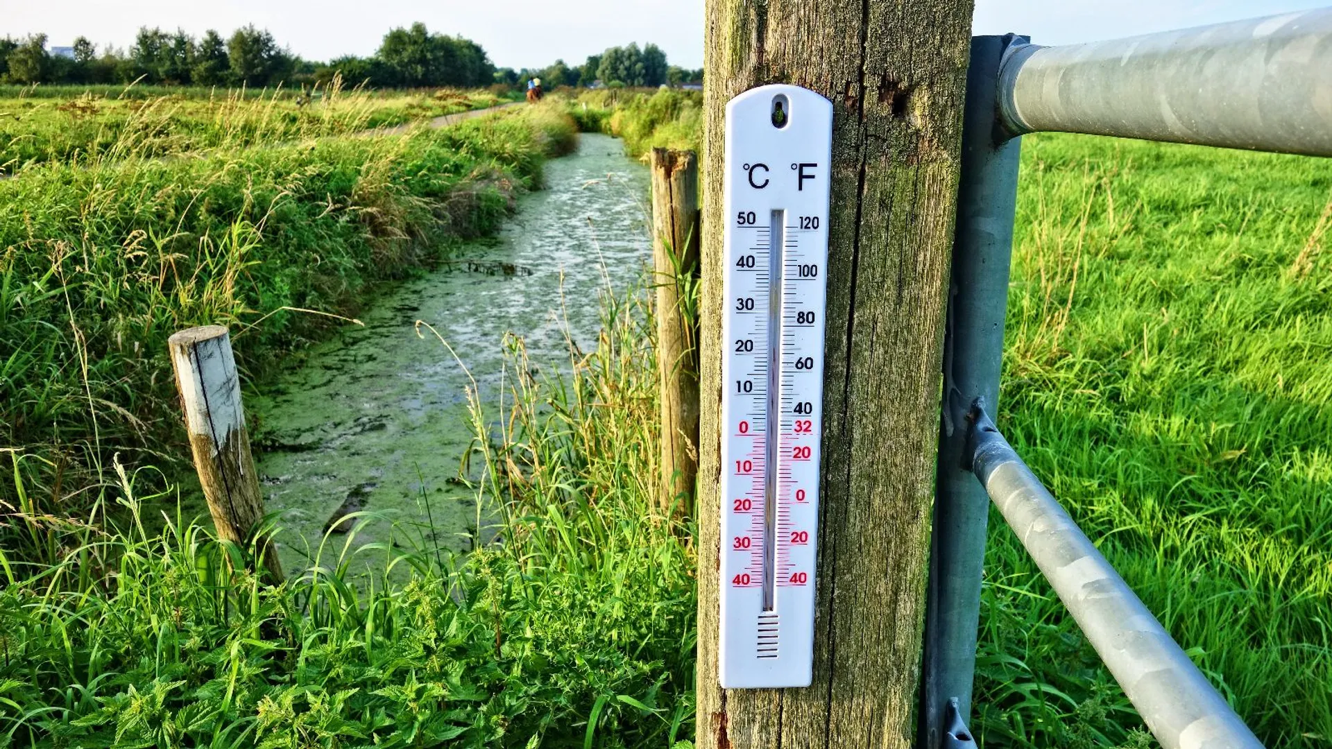lato, IMGW, temperatury