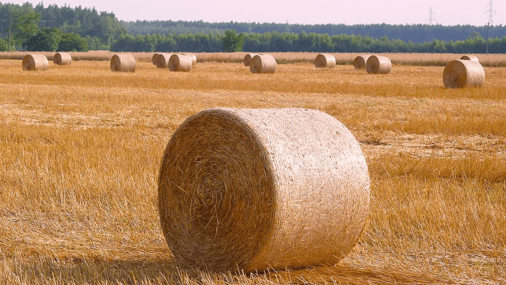 Ministerstwo Klimatu i Środowiska 