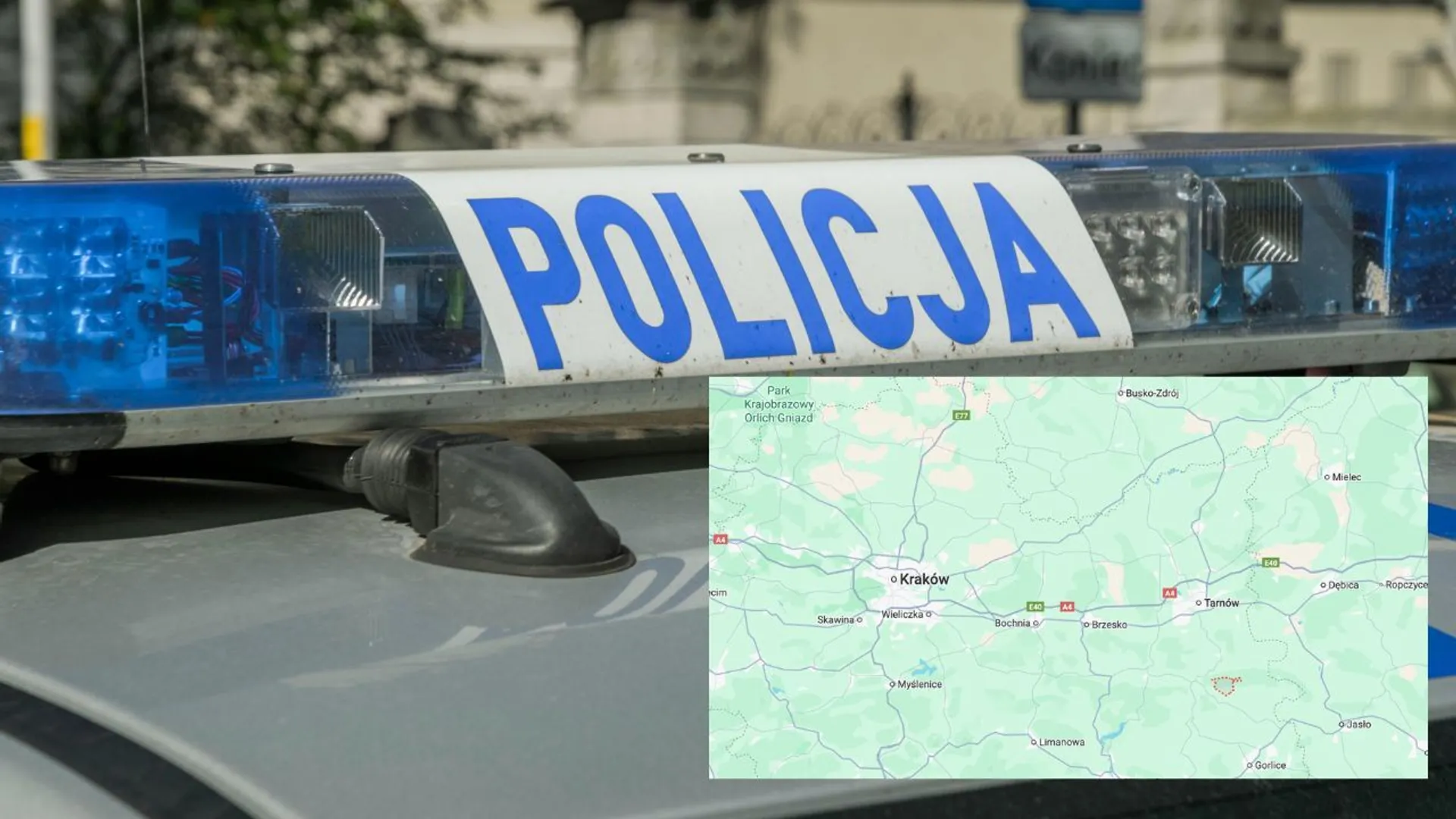 policja