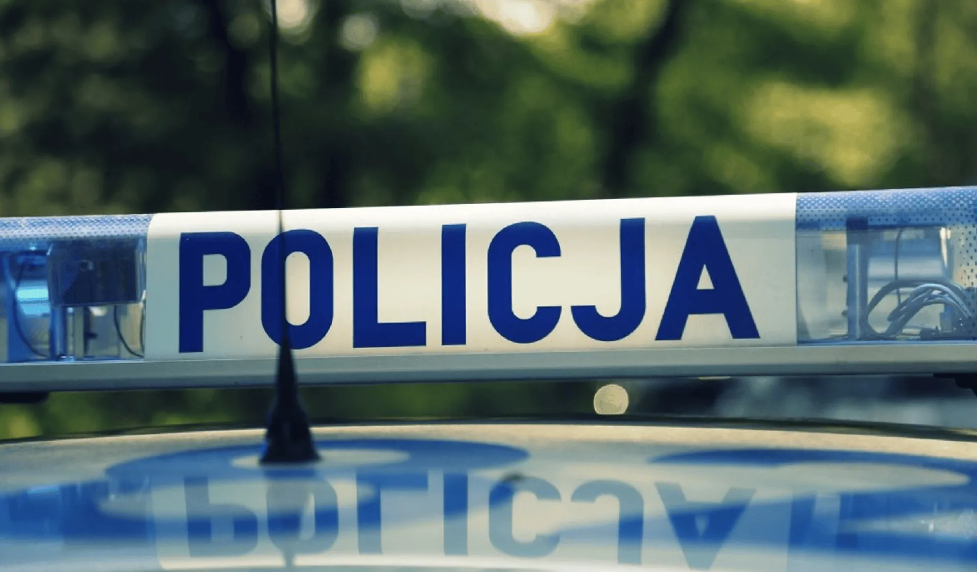 policja