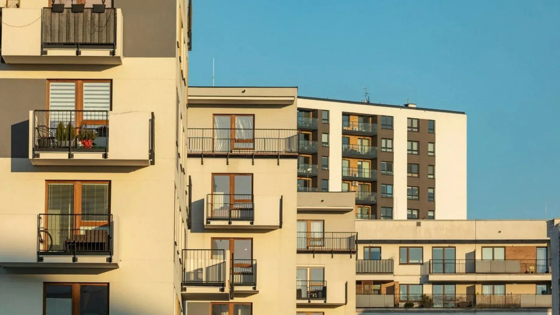 wynajem mieszkań, nieruchomości