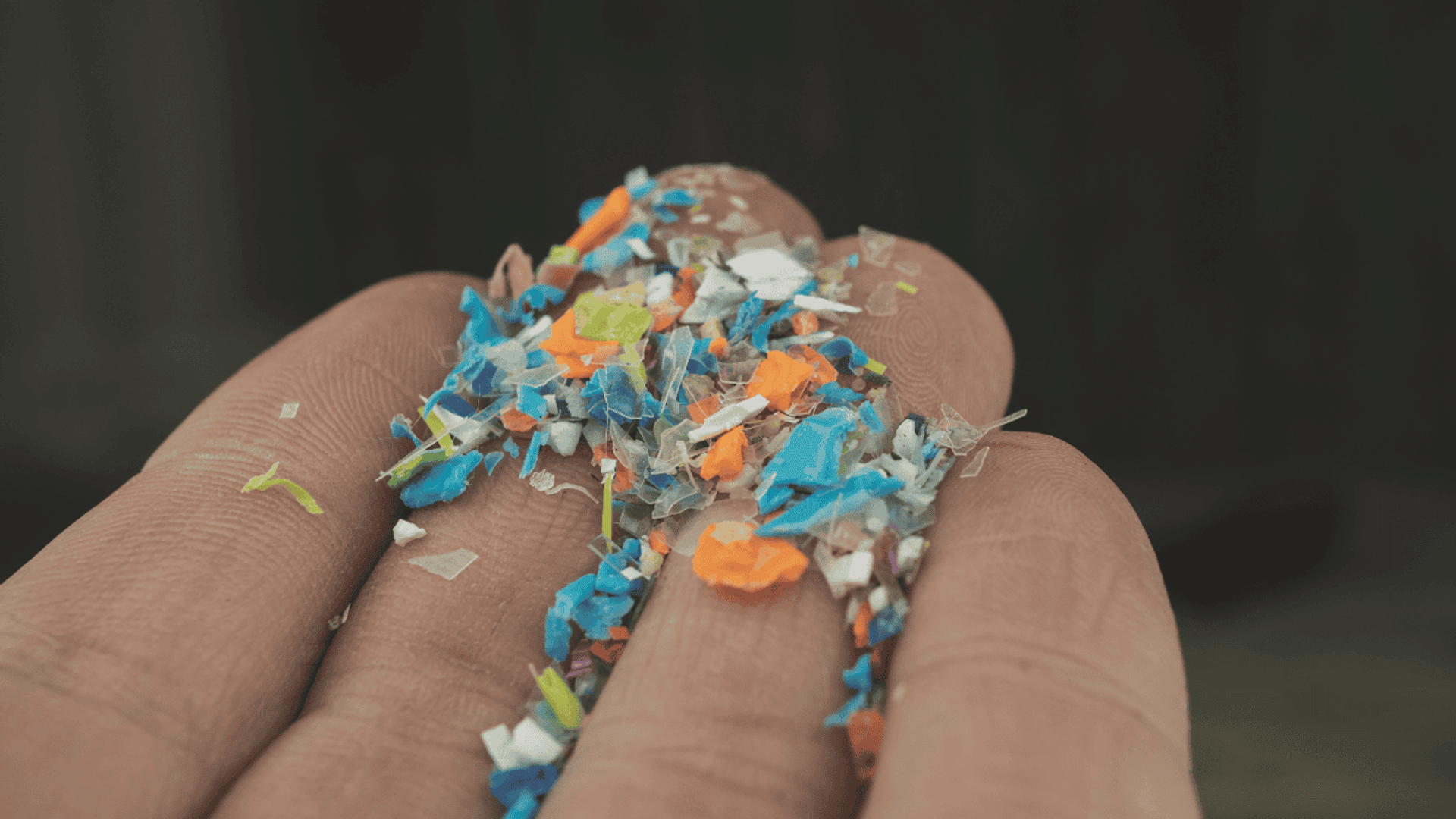 Mikroplastik wydziela się nawet, gdy tylko, np. kroimy na plastikowej desce.