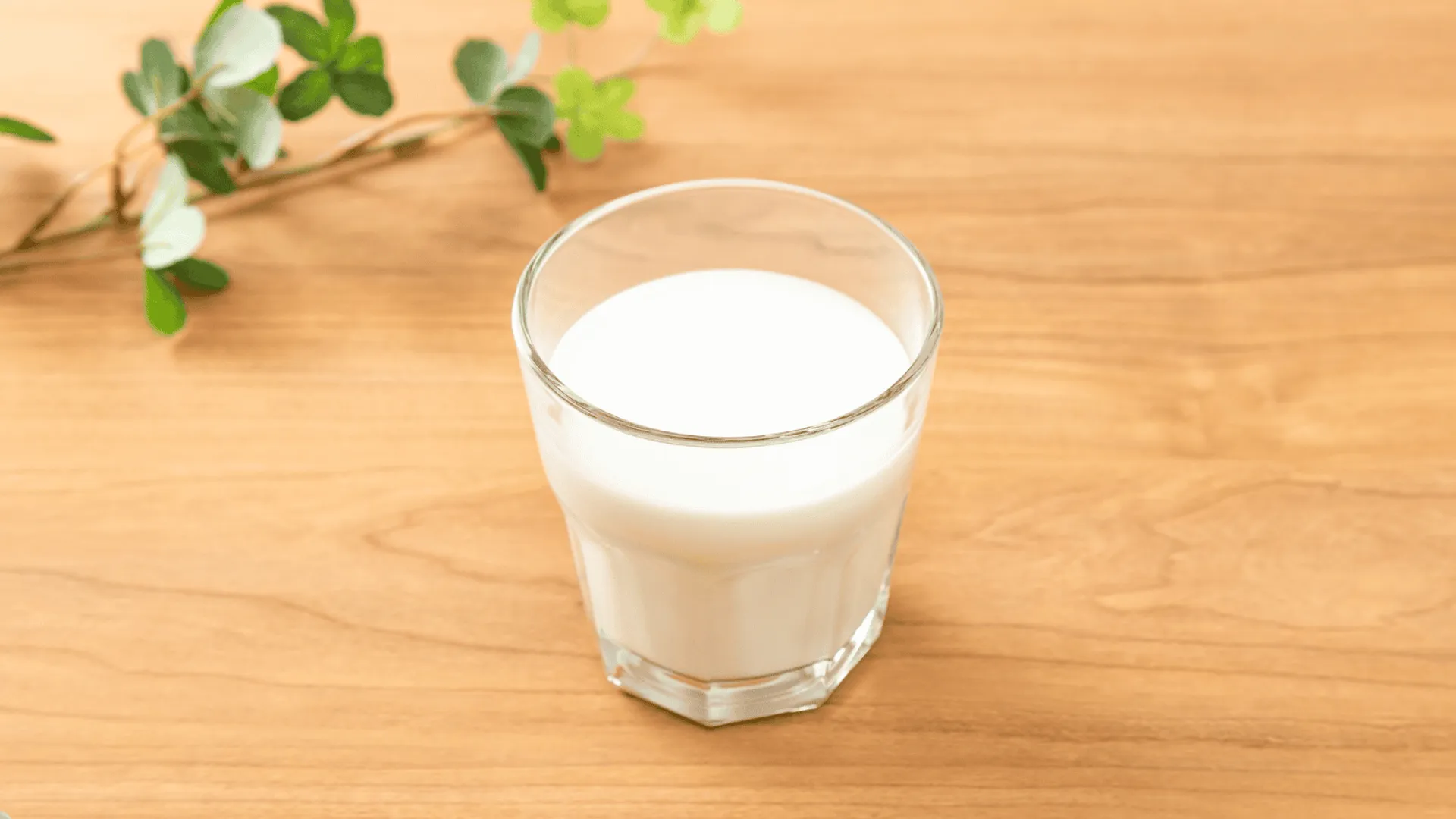 Mleko w diecie seniorów