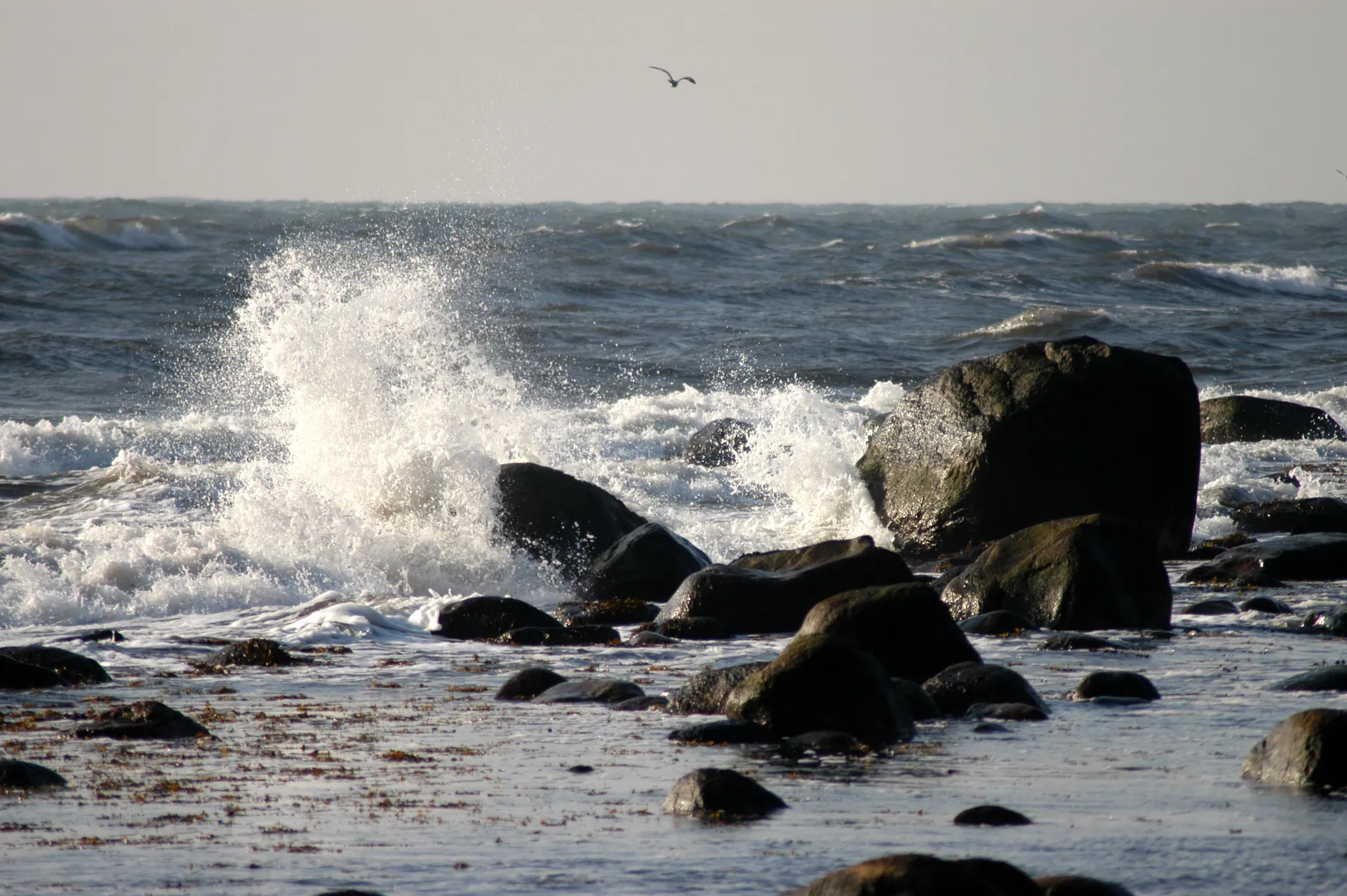 Gdańsk oczami ukraińskich turystów. Zimowa perła Bałtyku zachwyca poza sezonem
