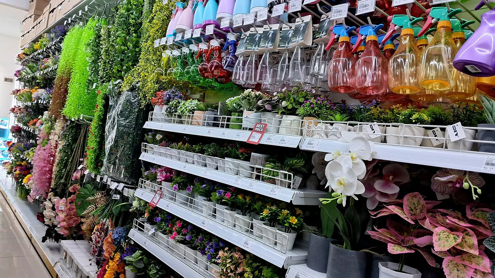 MR.DIY wchodzi do polski