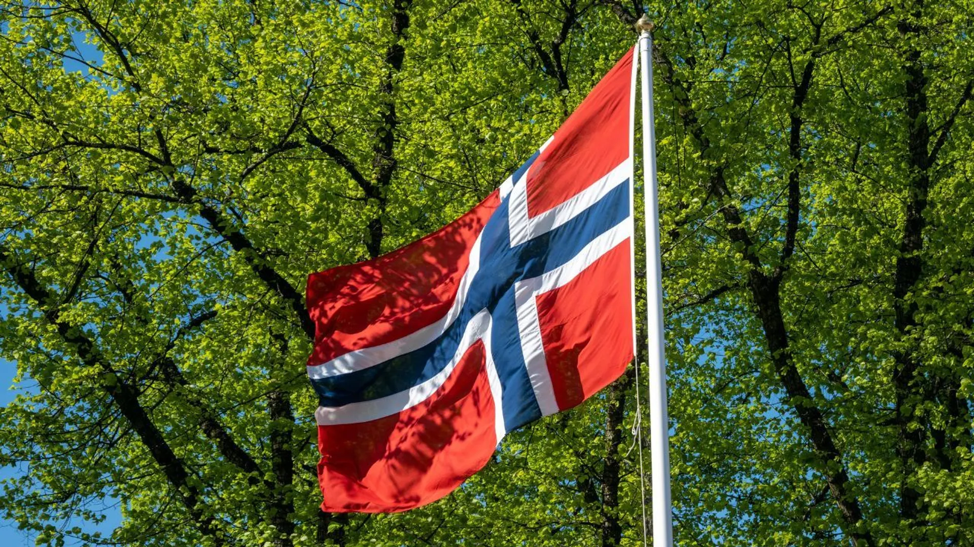 Norwegowie rozważą wyjście z Polski