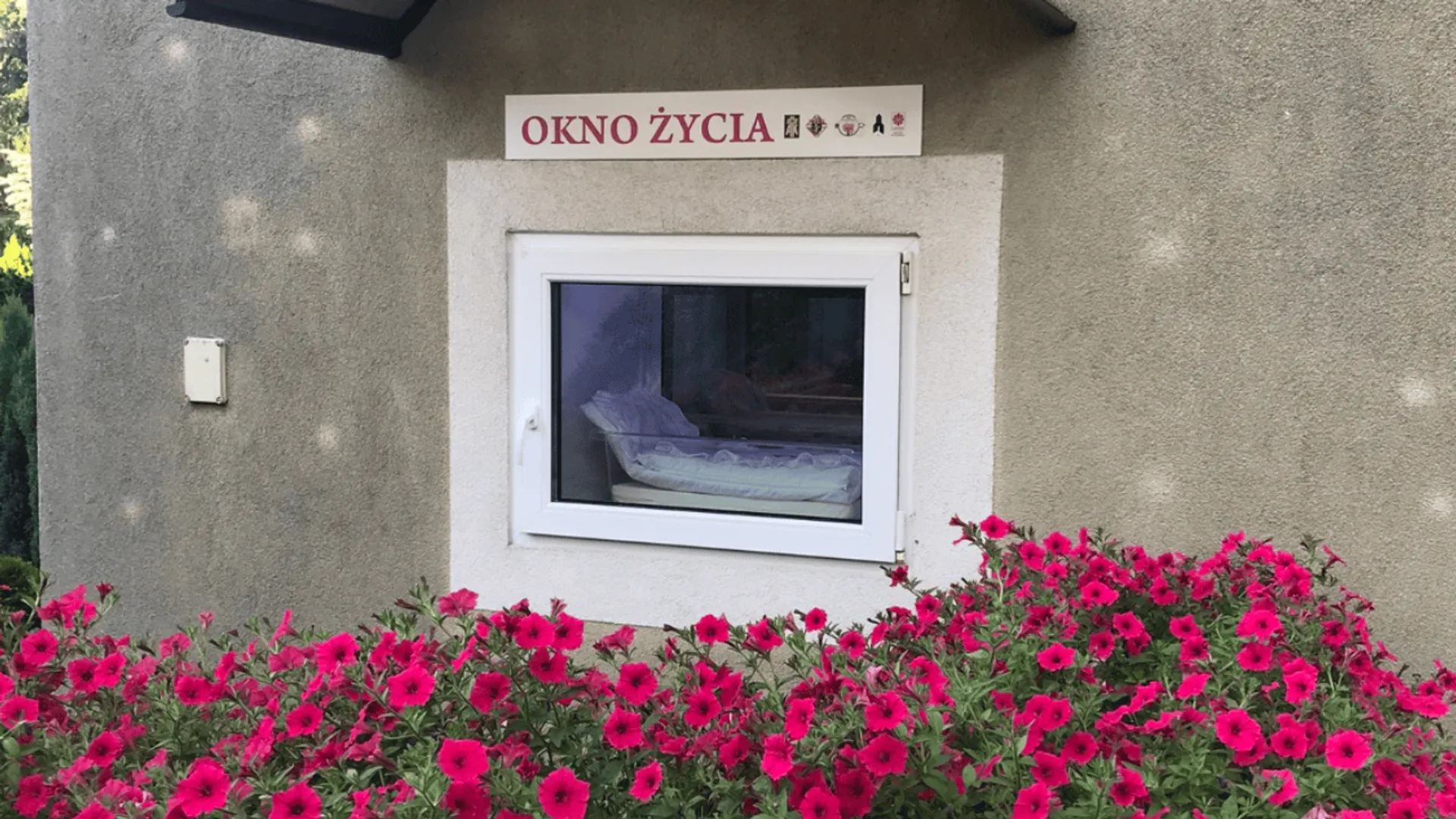 okno życia