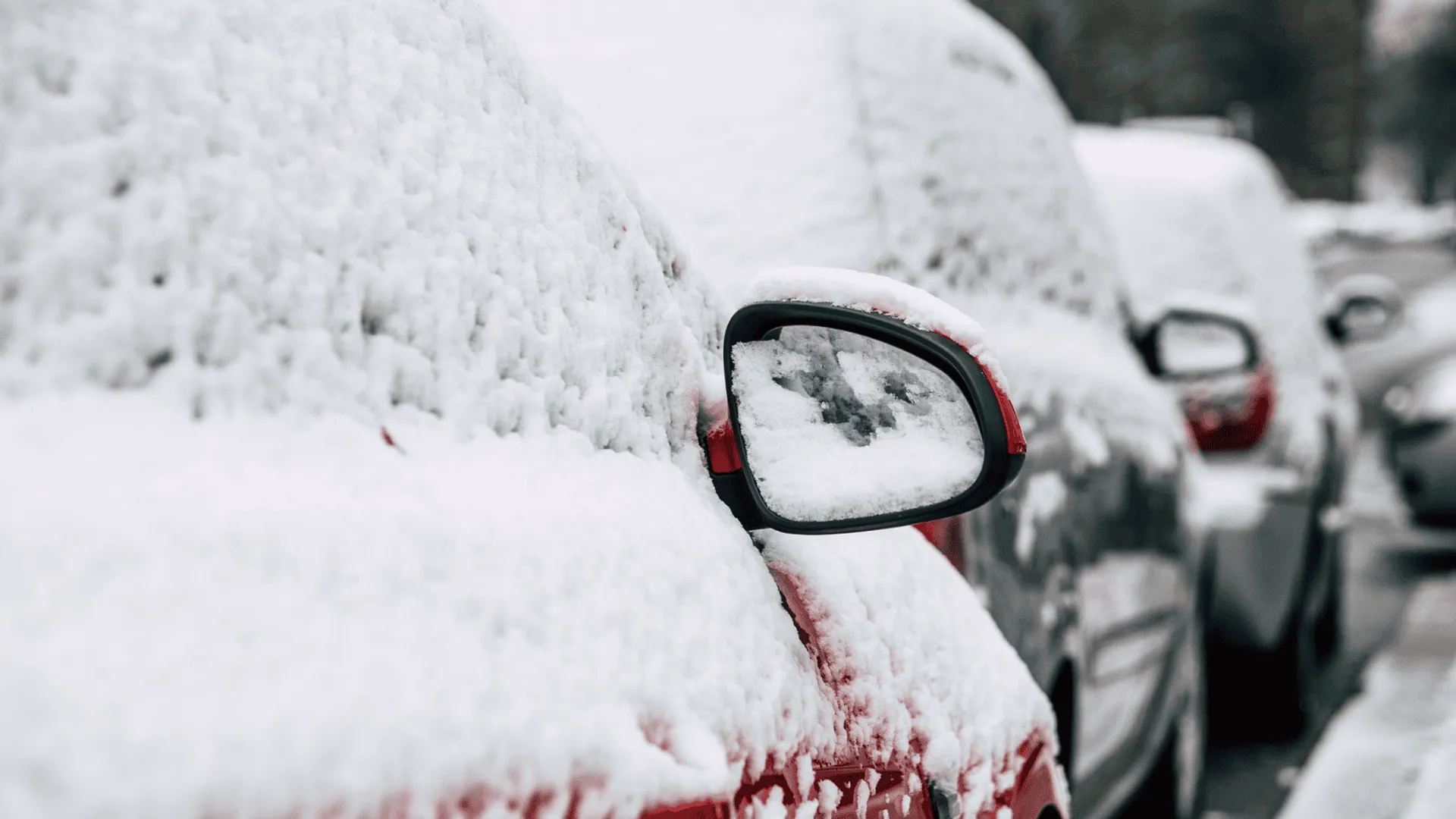Marznące opady i silny wiatr. Ostrzeżenia IMGW dla 14 województw