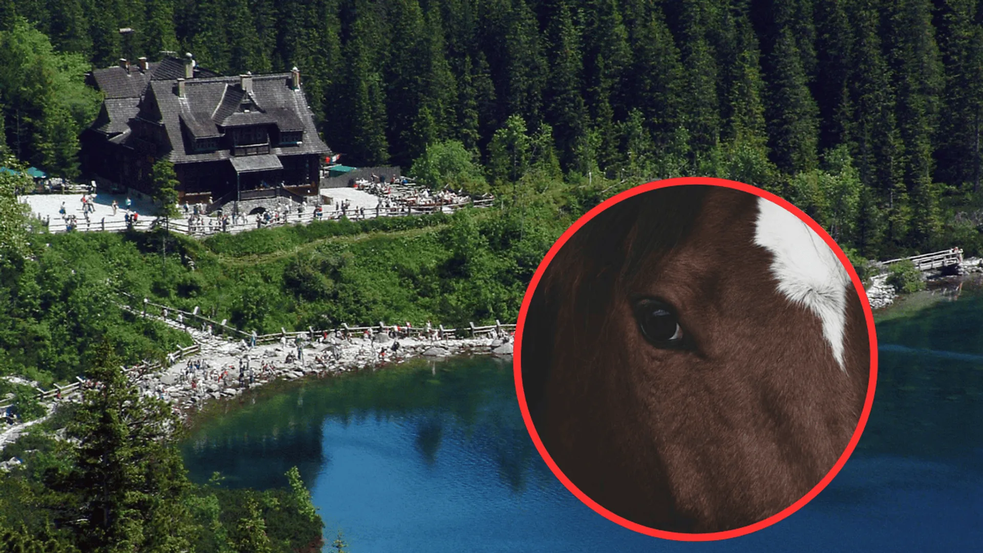 Morskie Oko i koń