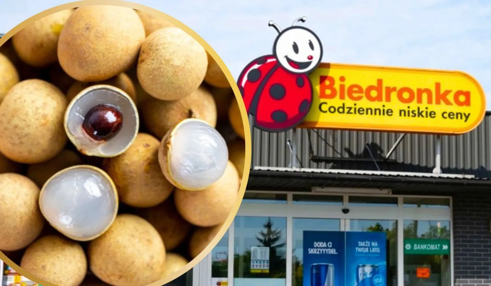 longan Biedronka