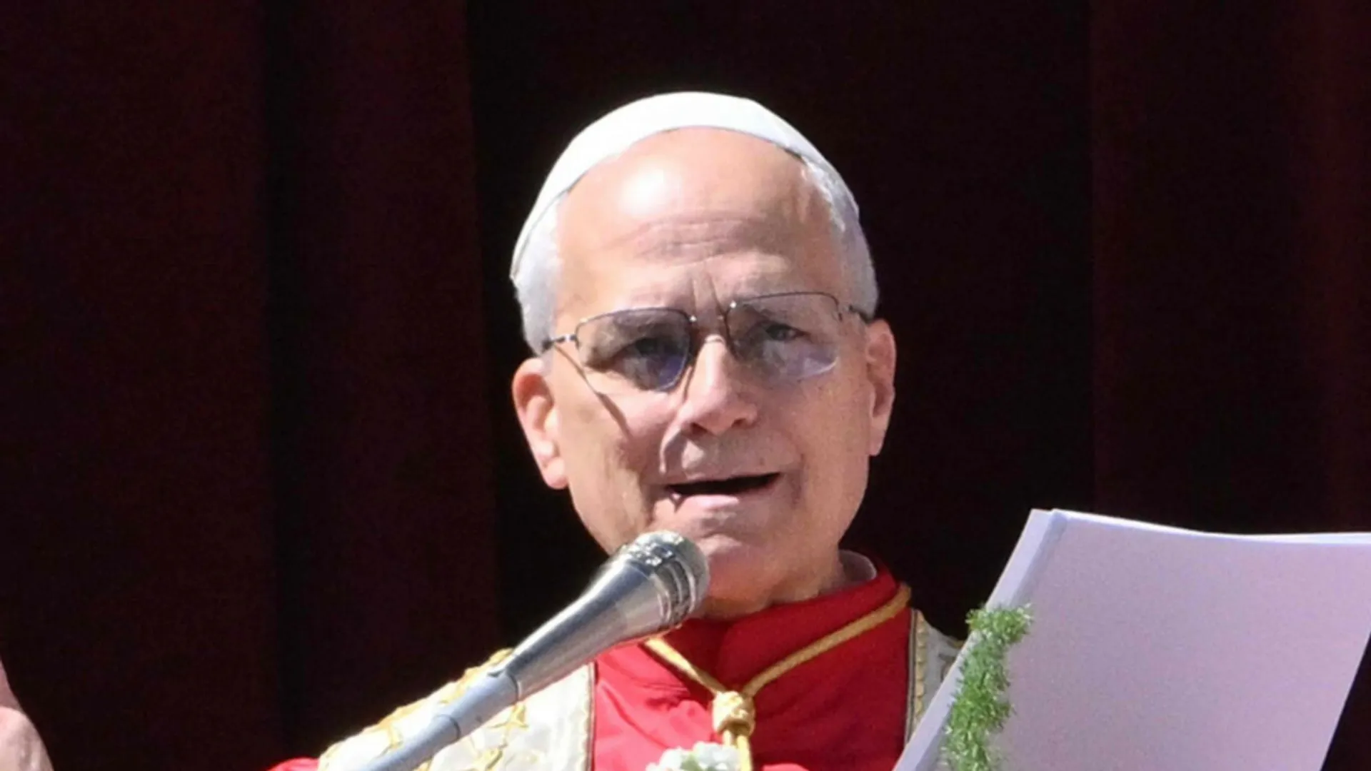 Papież Leon XIV, Polacy, Audiencja