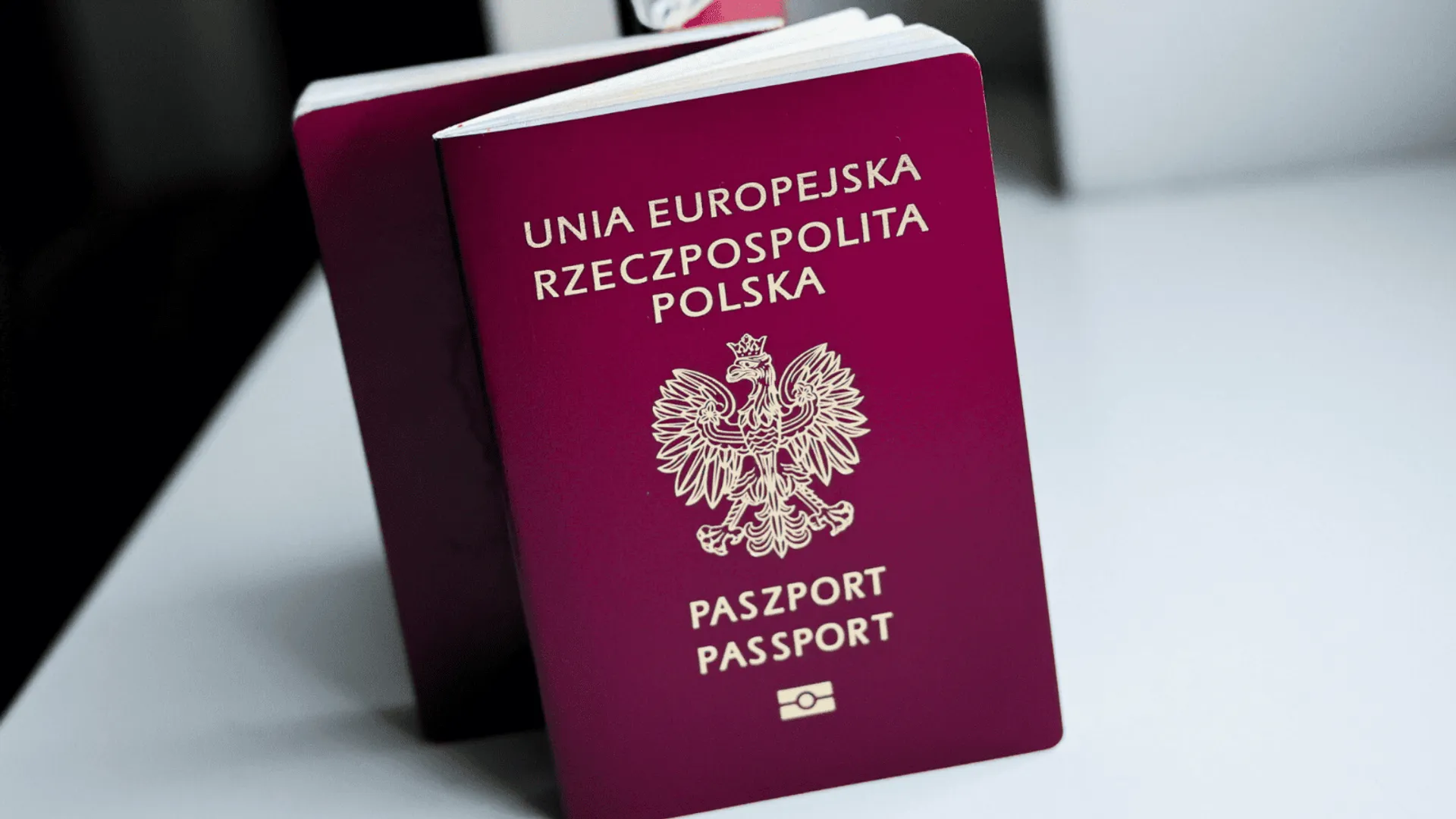 Paszport, fot. Anita Walczewska/East News