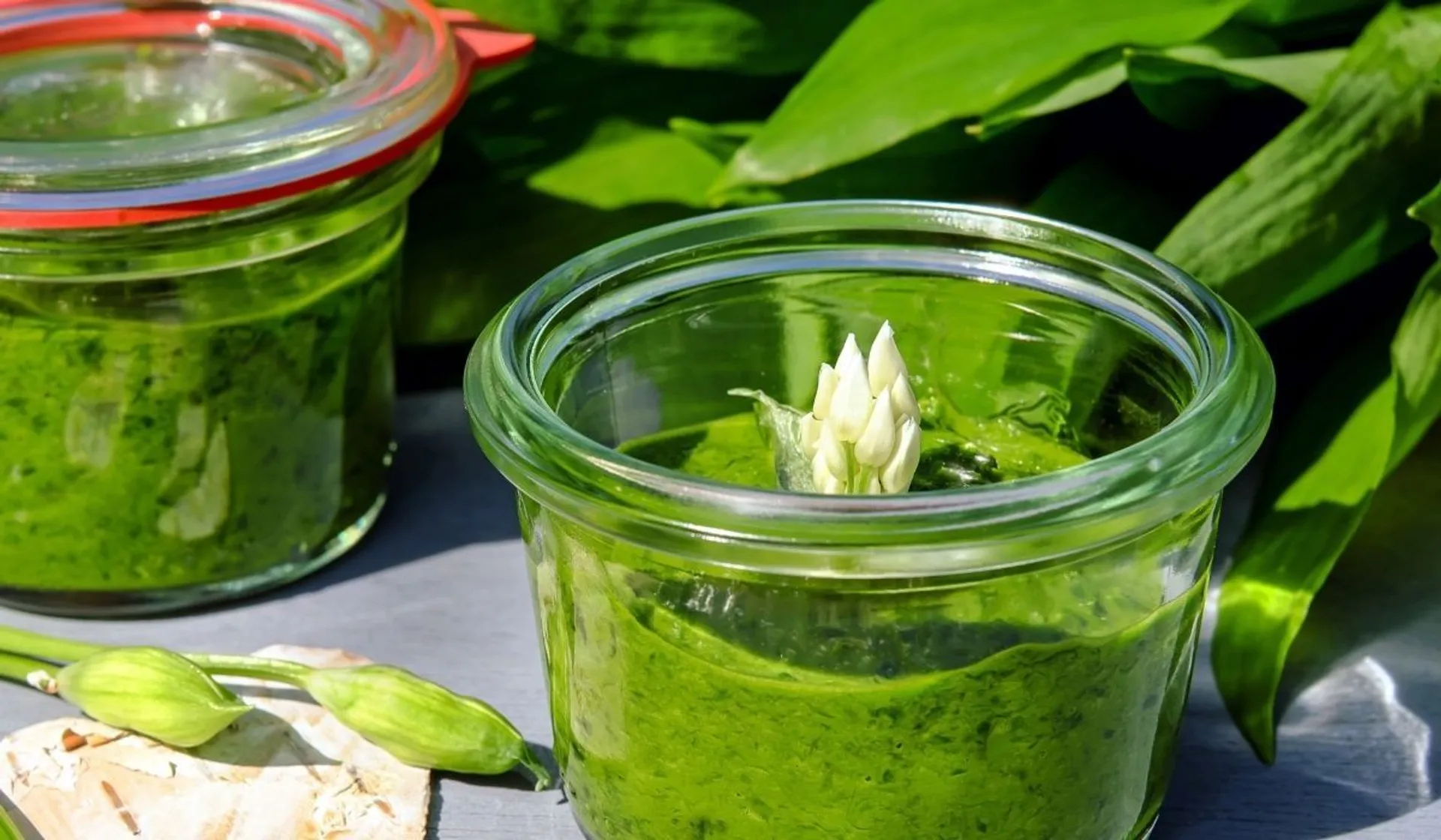 pesto z czosnku niedźwiedziego