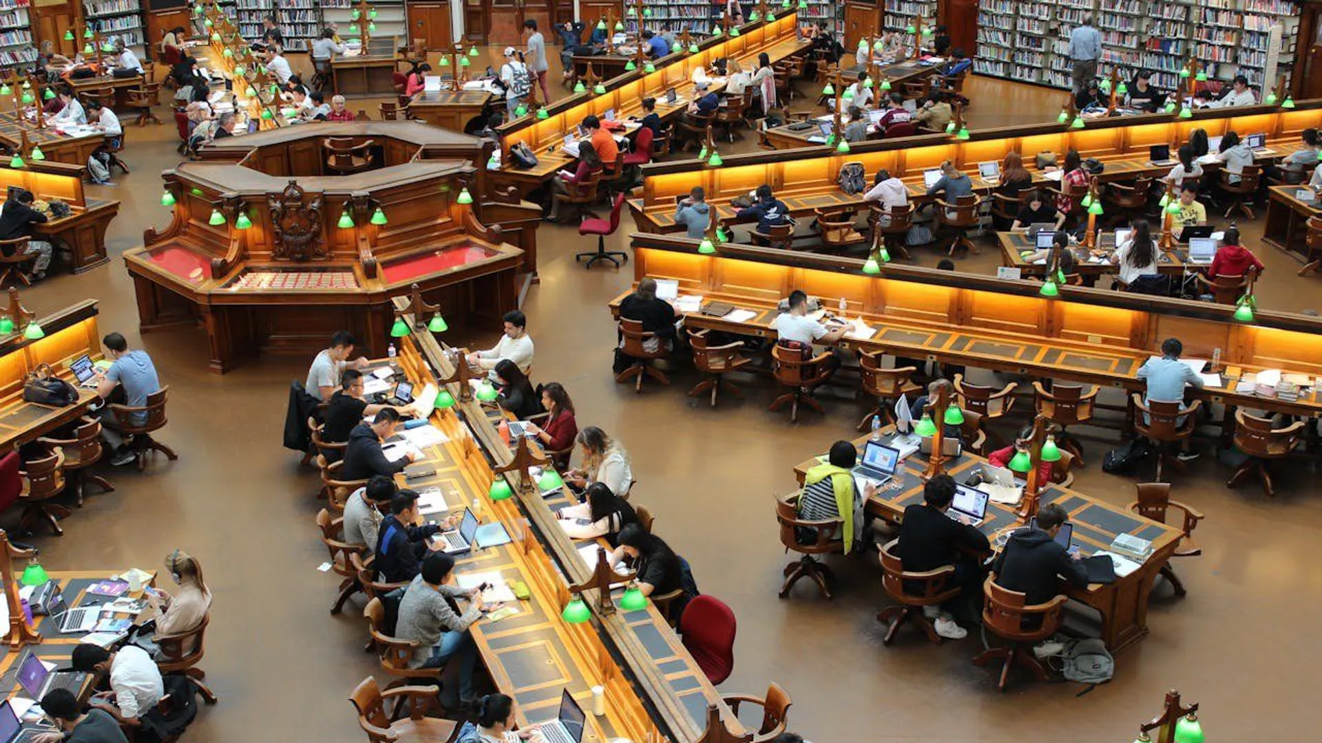 biblioteka