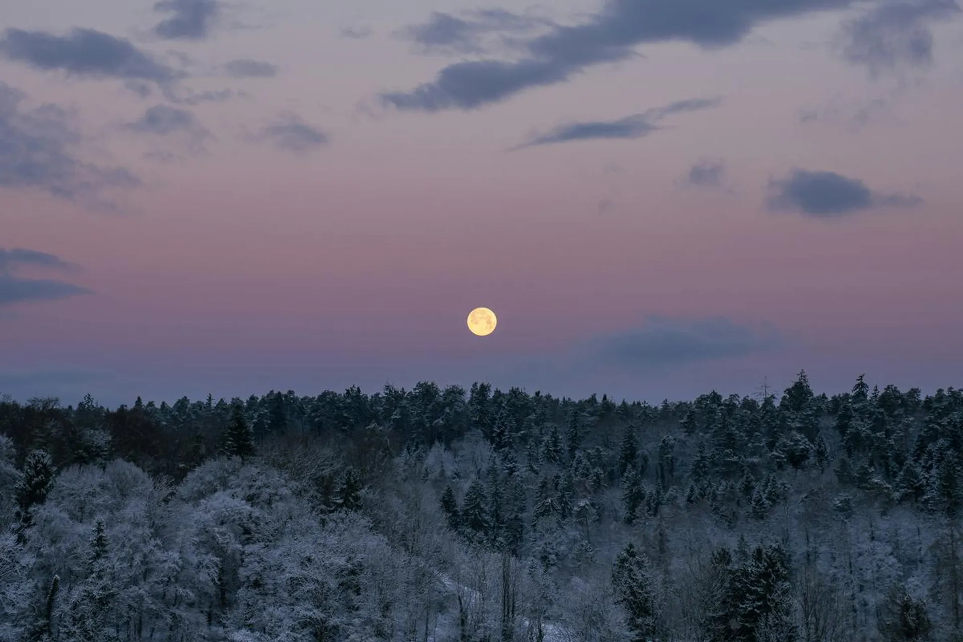 Niezwykły wschód Księżyca tuż po zimowej pełni