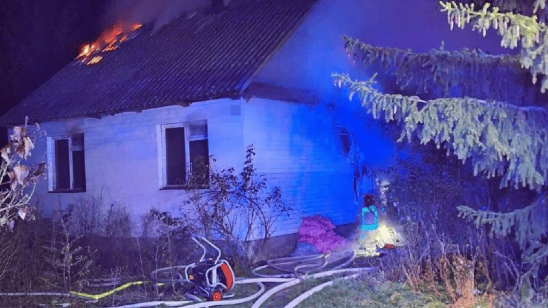 Wierny pies czeka na zgliszczach. Nie wie, że jego pan nie wróci.